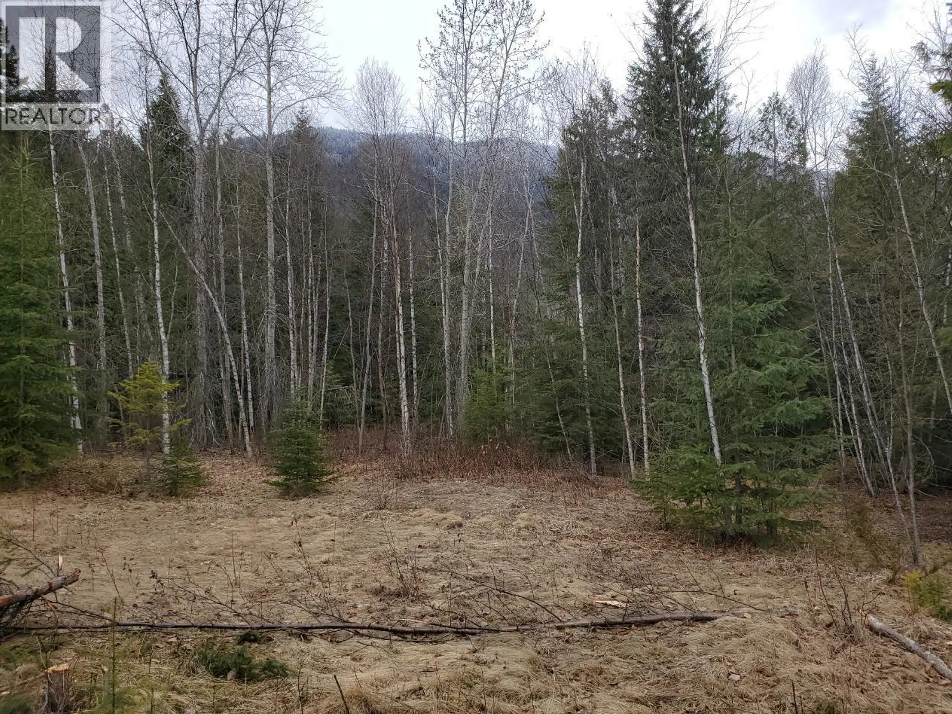 Property at 657 HOIRUP ROAD, Clearwater, BC