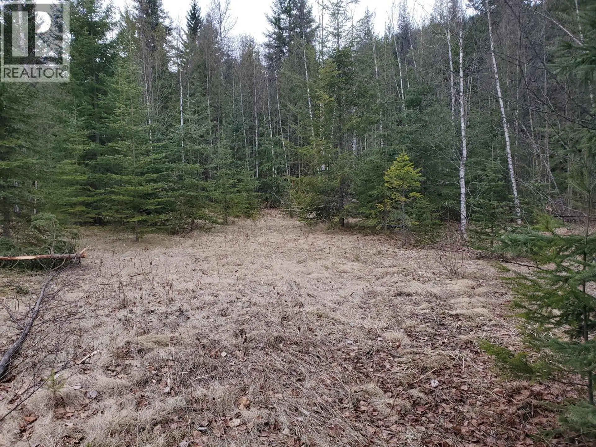 Property at 657 HOIRUP ROAD, Clearwater, BC