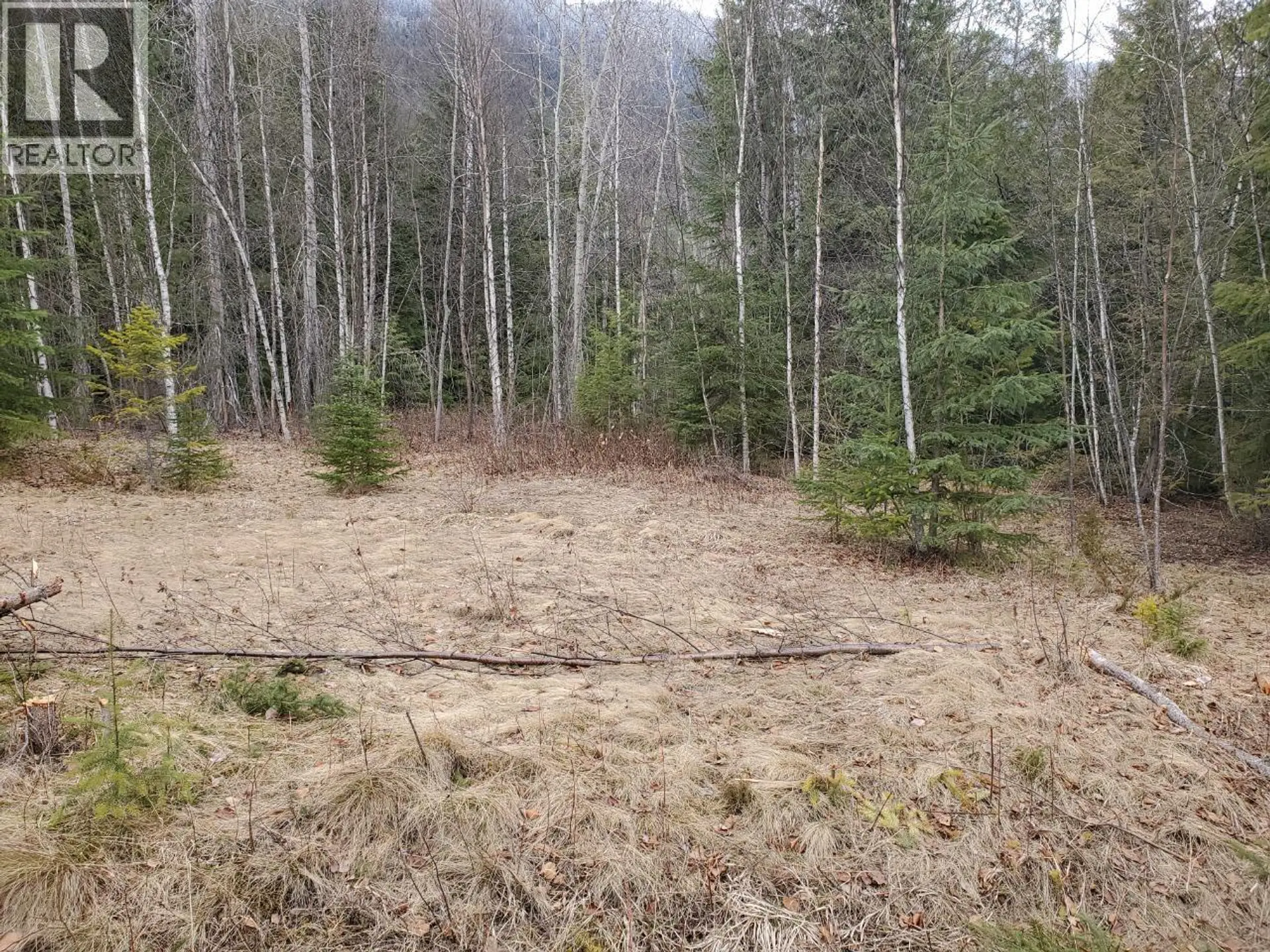 Property at 657 HOIRUP ROAD, Clearwater, BC