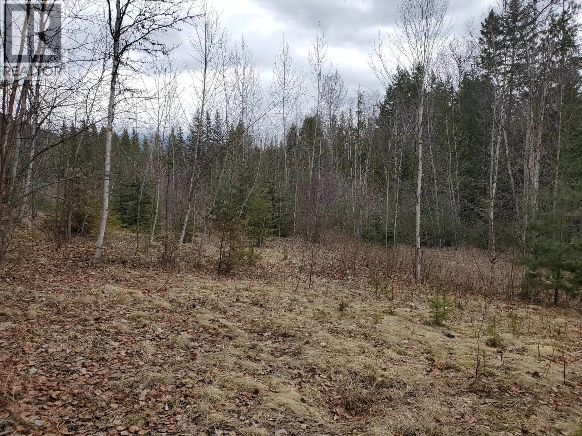 Property at 657 HOIRUP ROAD, Clearwater, BC