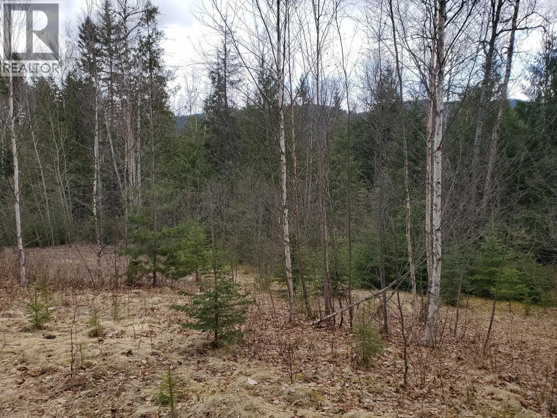 Property at 657 HOIRUP ROAD, Clearwater, BC