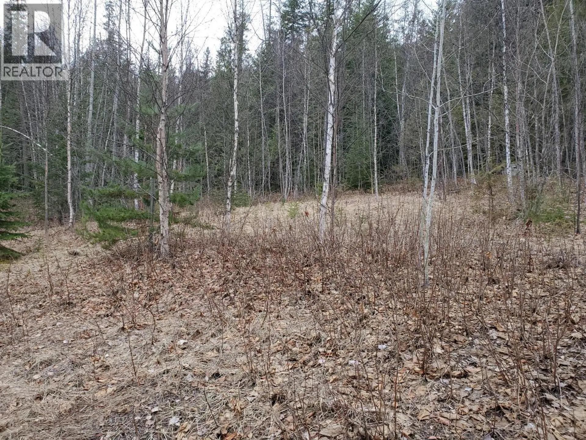 Property at 657 HOIRUP ROAD, Clearwater, BC