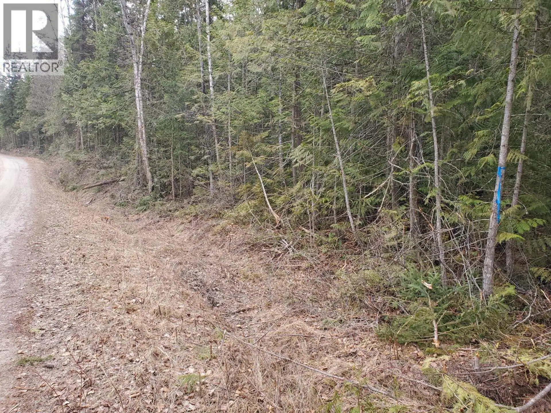 Property at 657 HOIRUP ROAD, Clearwater, BC