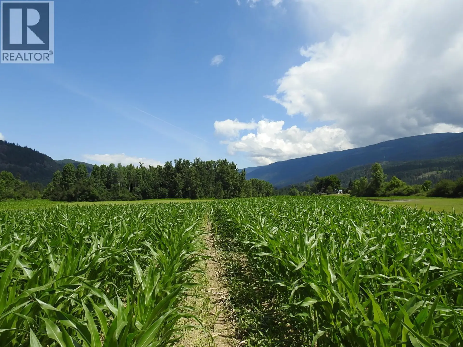 Property at 7160 97-A HIGHWAY, Grindrod, BC