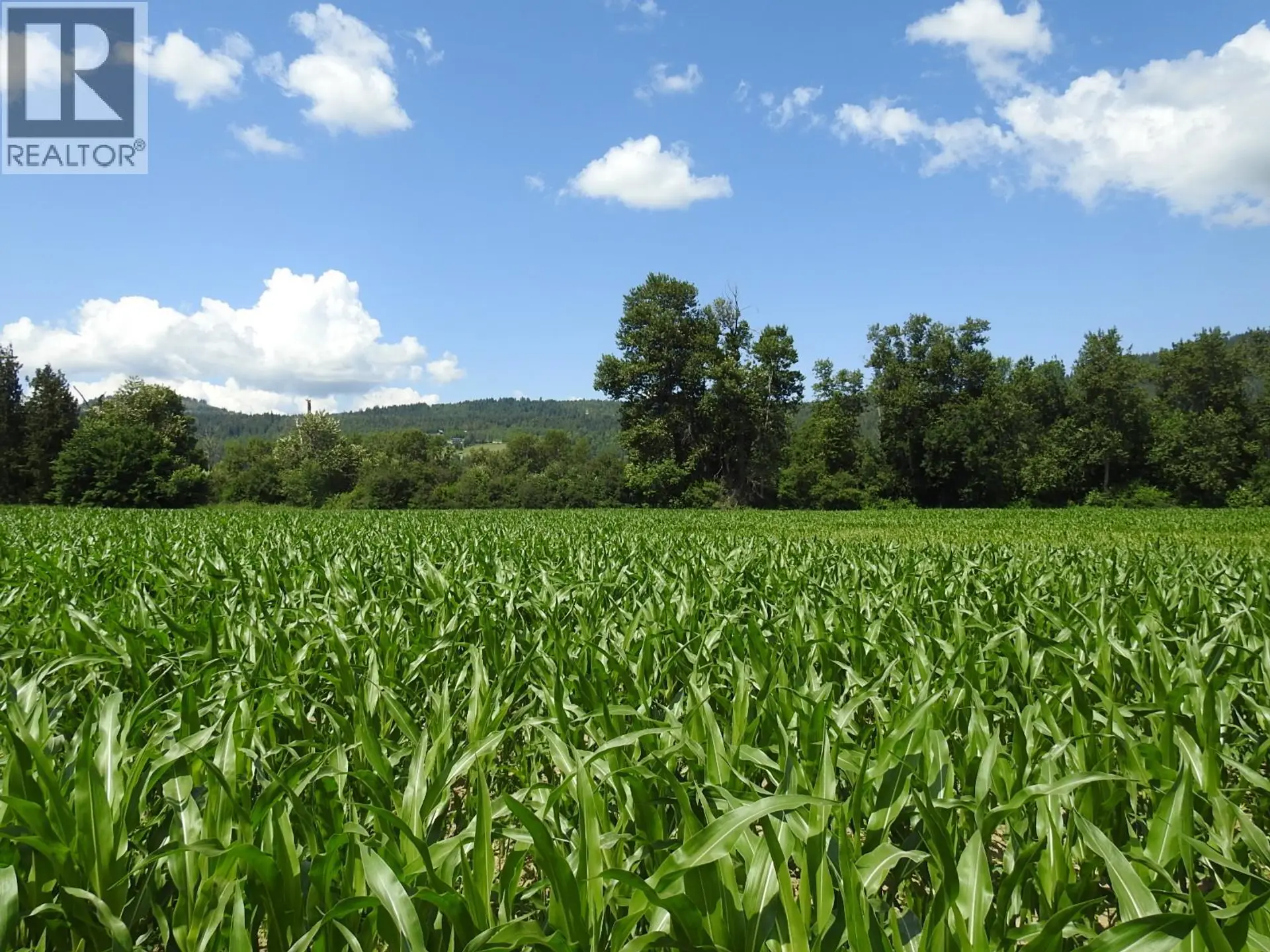 Property at 7160 97-A HIGHWAY, Grindrod, BC