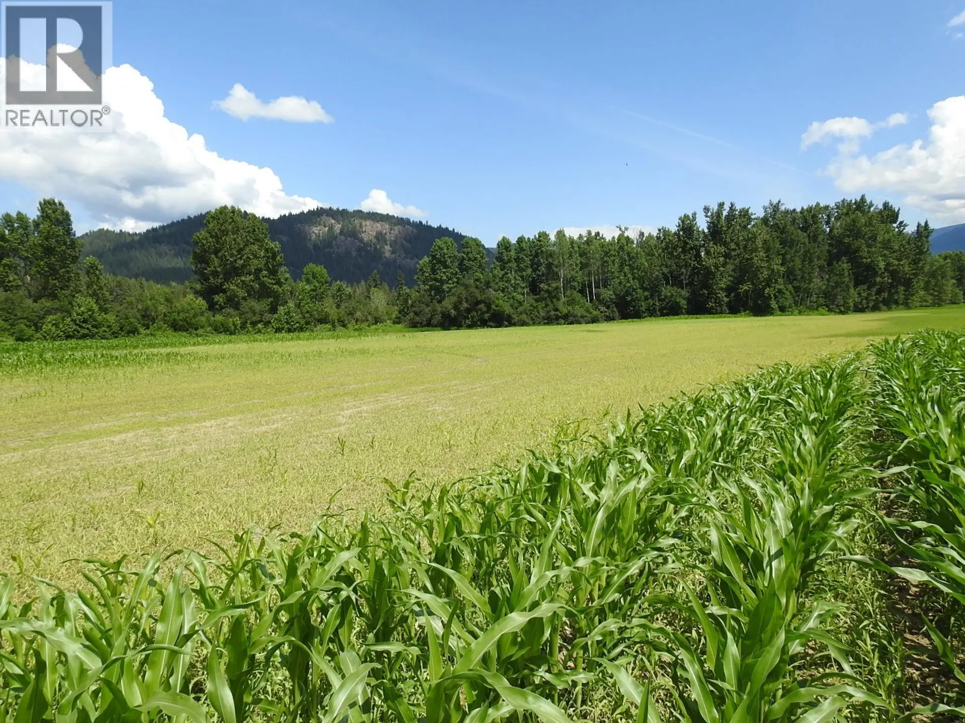 Property at 7160 97-A HIGHWAY, Grindrod, BC