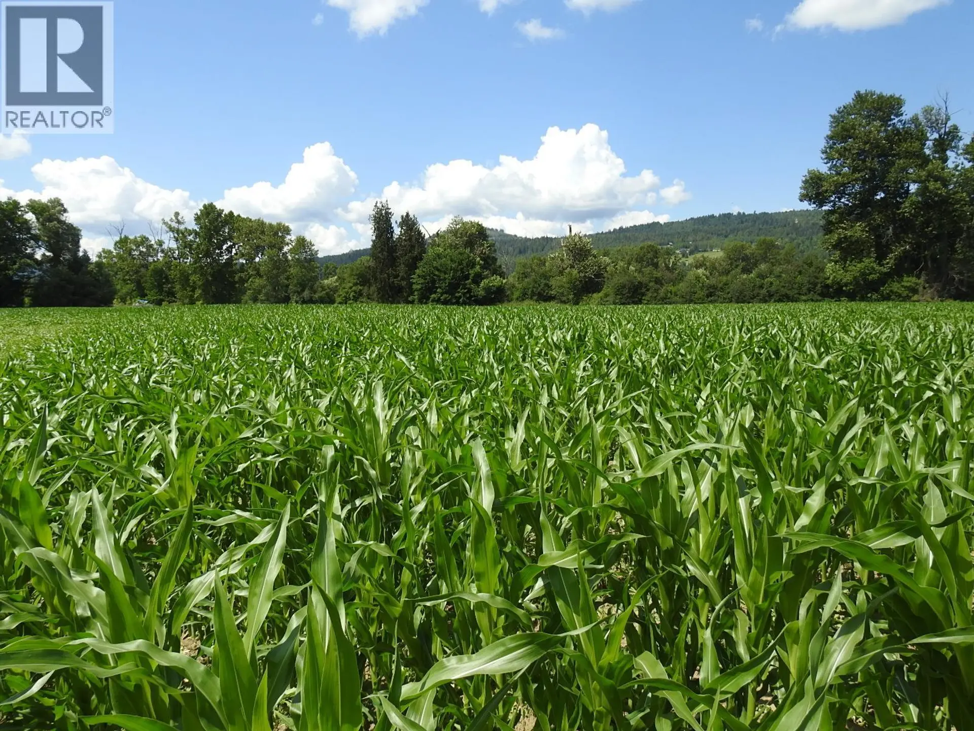 Property at 7160 97-A HIGHWAY, Grindrod, BC