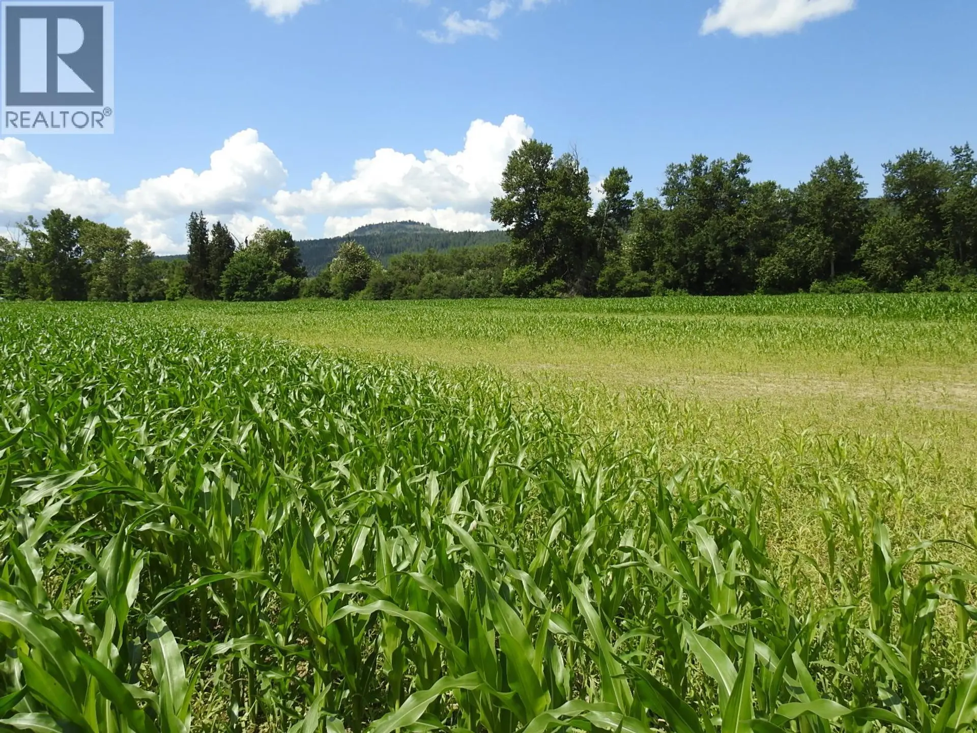 Property at 7160 97-A HIGHWAY, Grindrod, BC