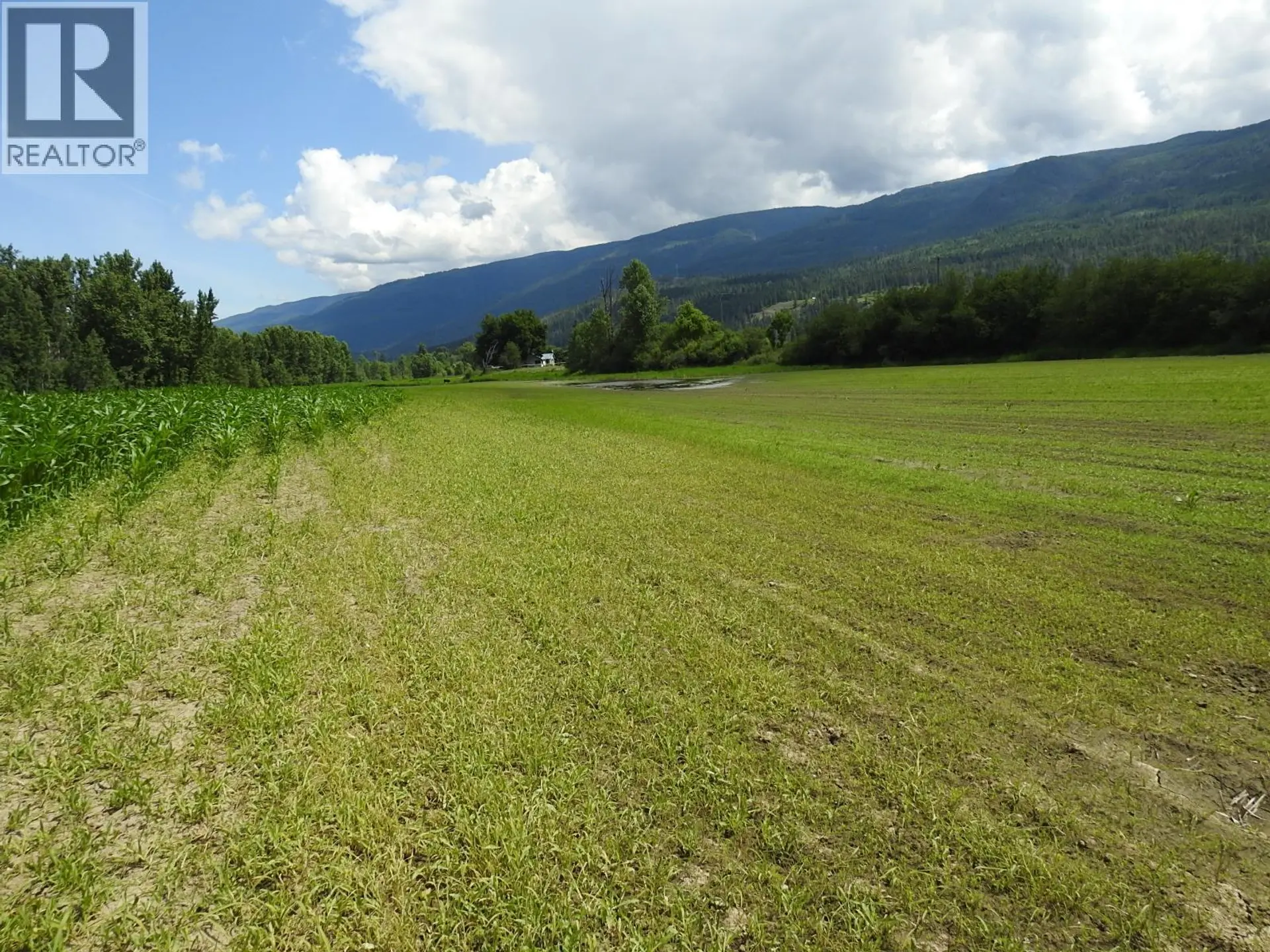 Property at 7160 97-A HIGHWAY, Grindrod, BC