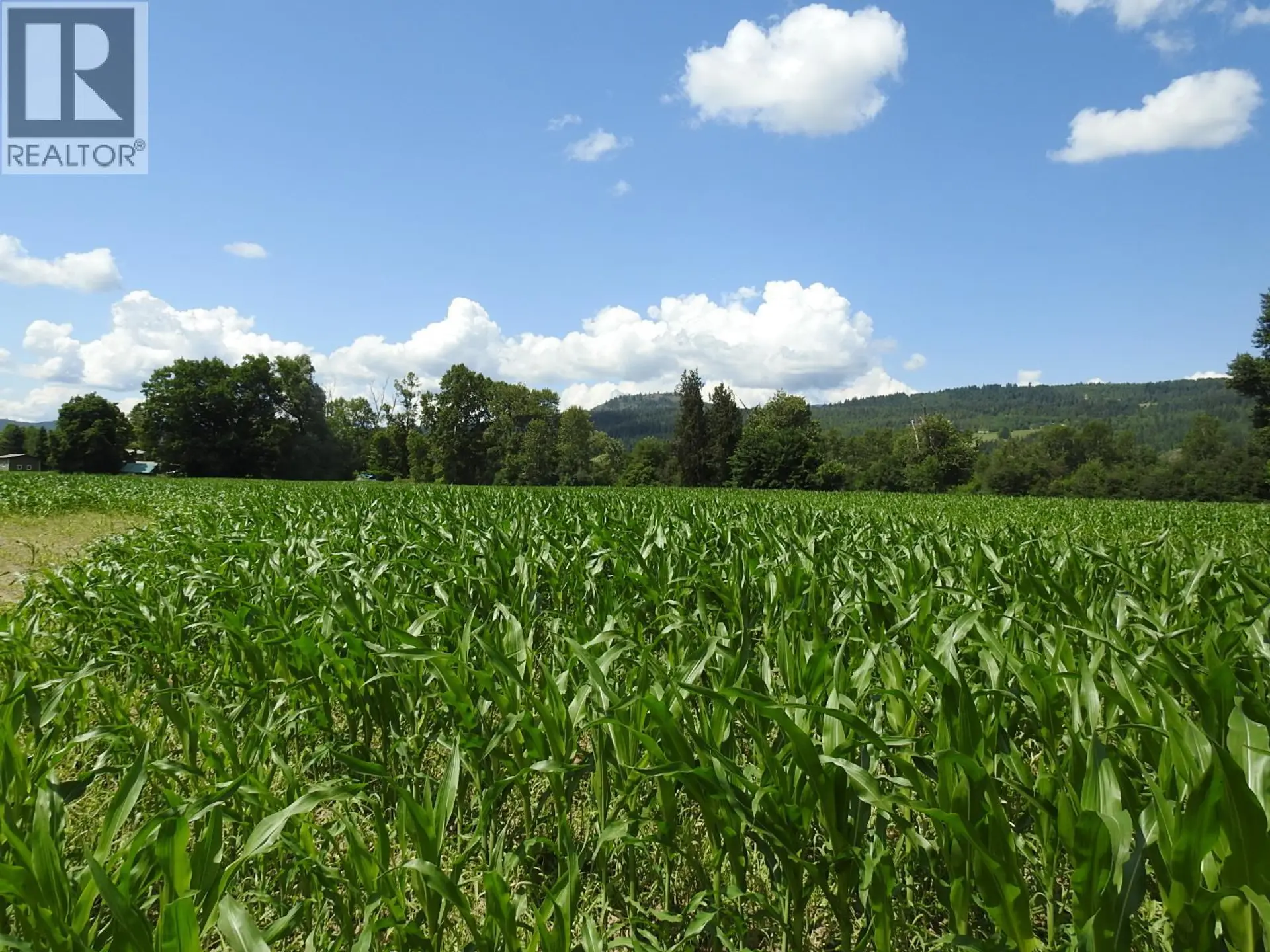 Property at 7160 97-A HIGHWAY, Grindrod, BC