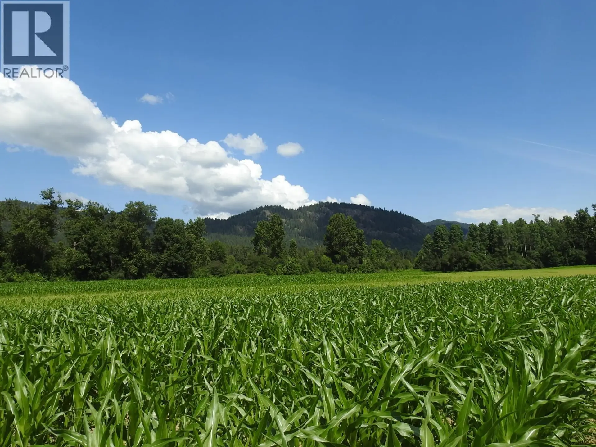 Property at 7160 97-A HIGHWAY, Grindrod, BC