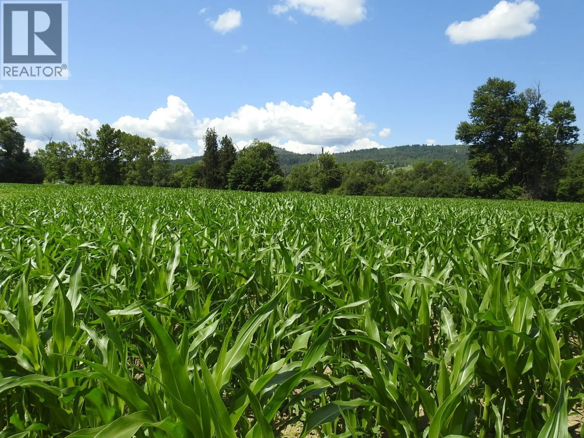 Property at 7160 97-A HIGHWAY, Grindrod, BC