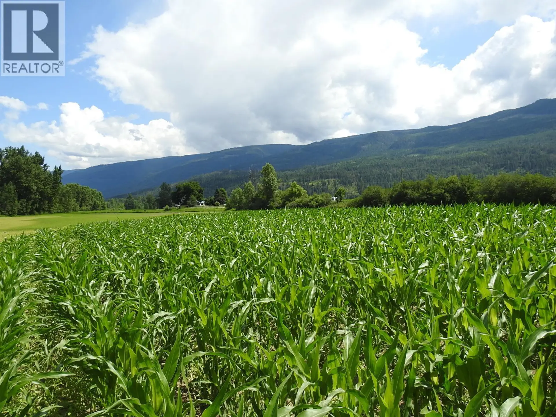 Property at 7160 97-A HIGHWAY, Grindrod, BC