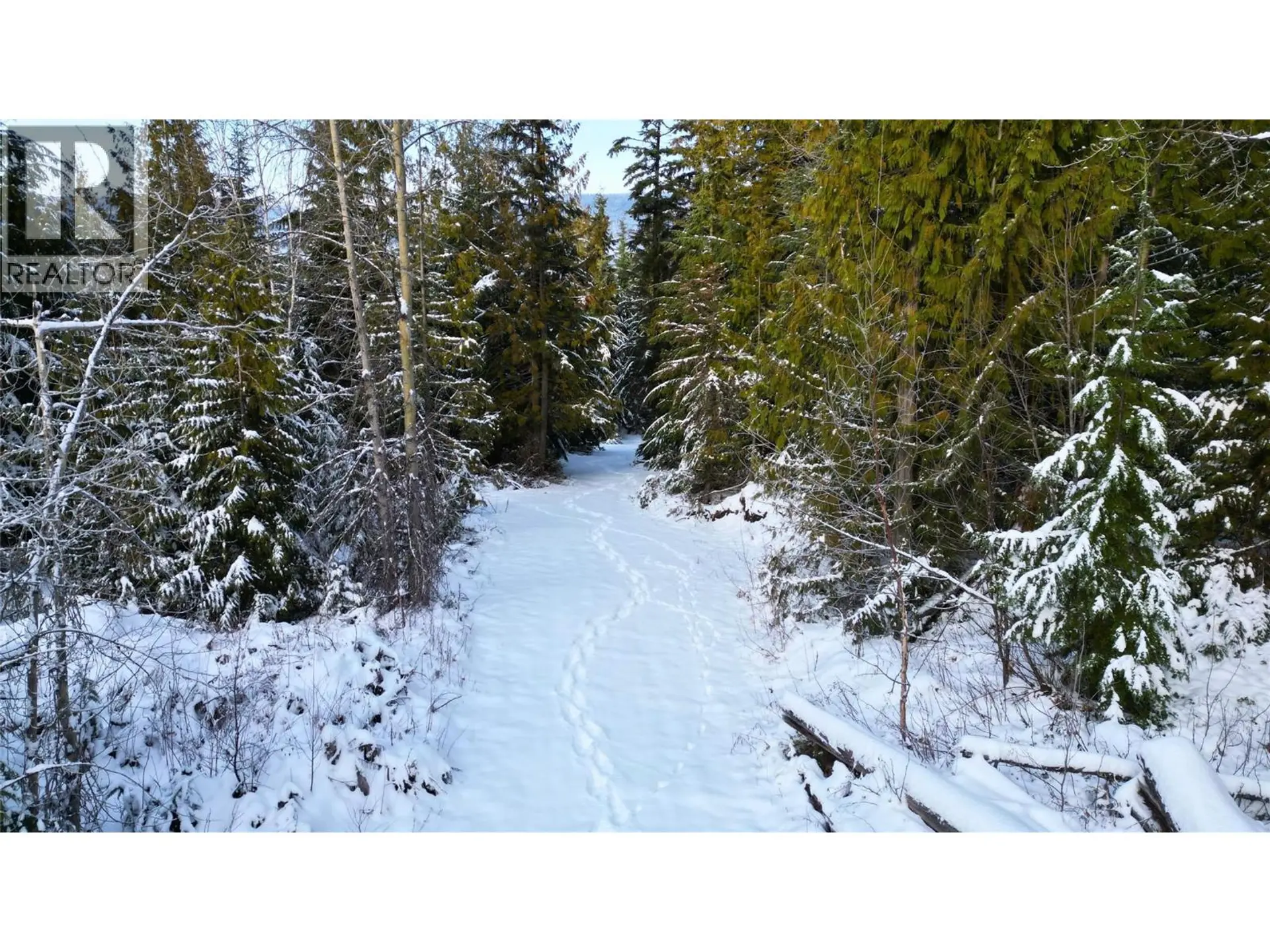 Property at LS  16 BASTION IVY ROAD, Eagle Bay, BC