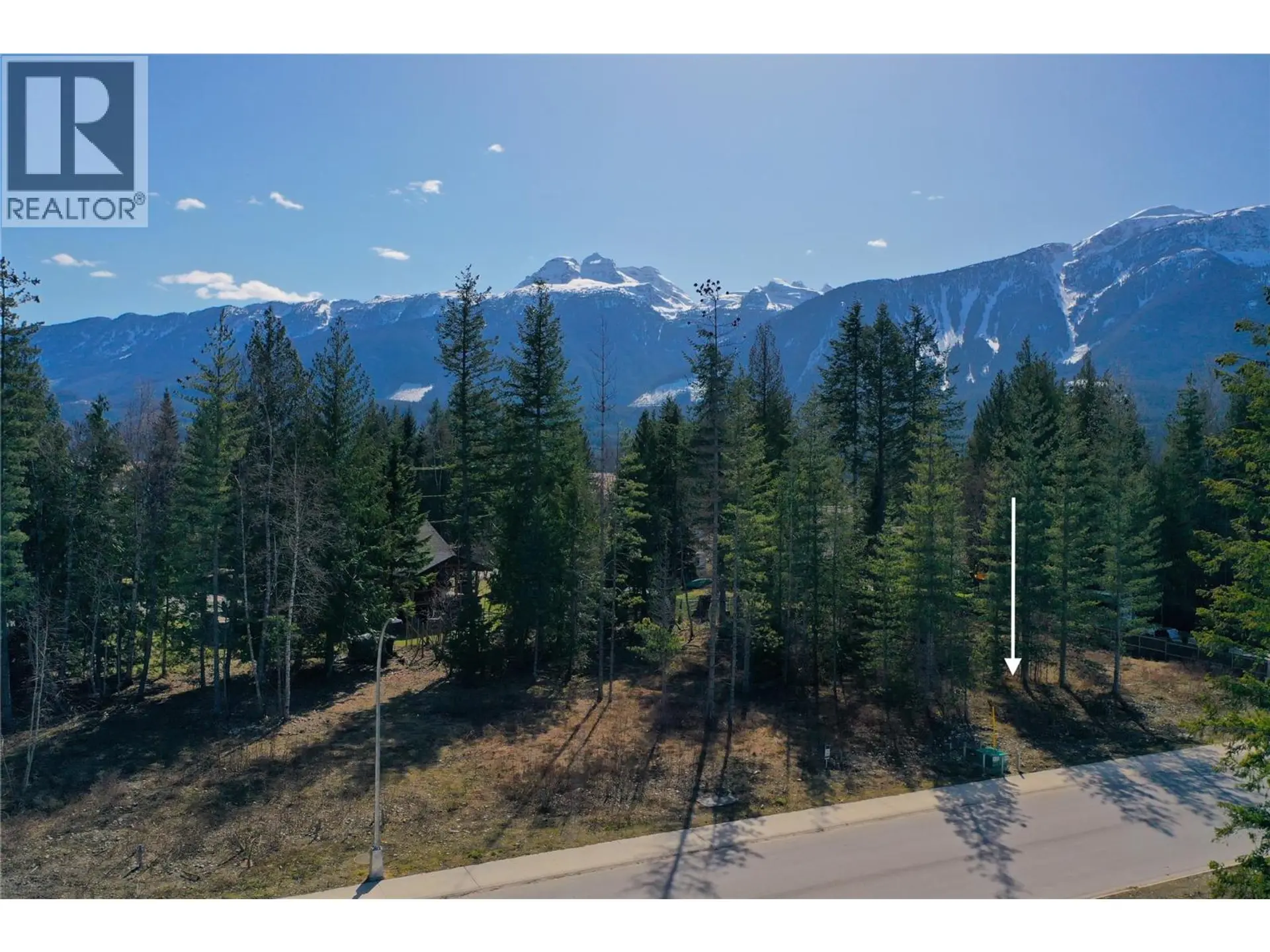 Property at 1039 WILLIAMS GATE LANE, Revelstoke, BC