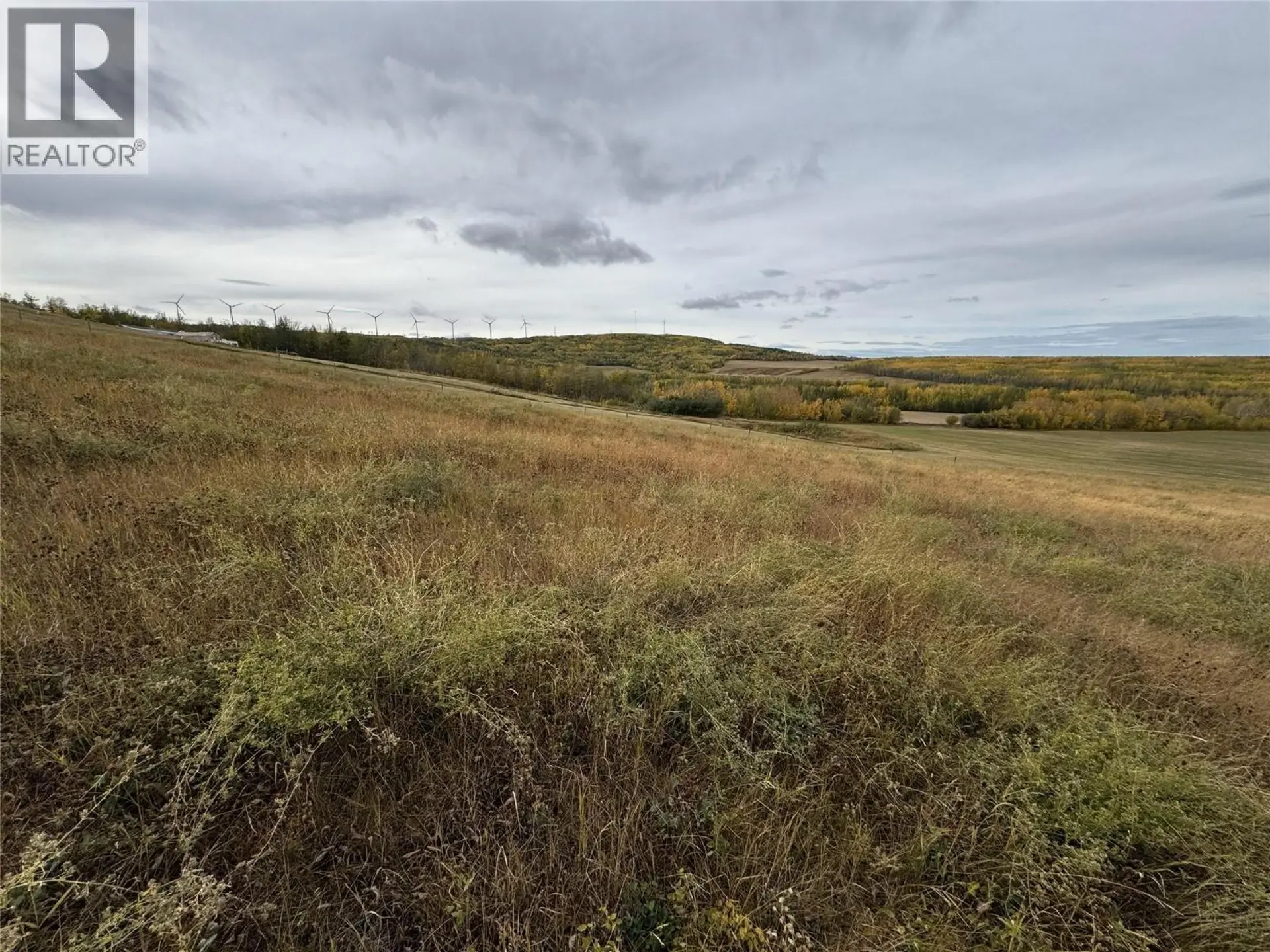 Property at 206 ROAD LOT# 3, Dawson Creek, BC