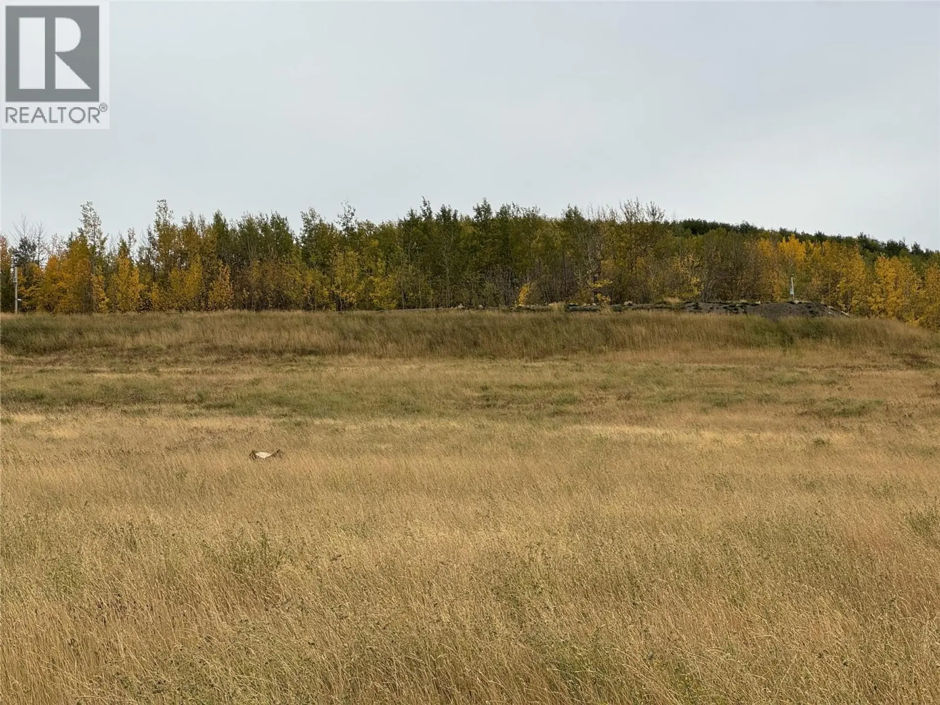 Property at 206 ROAD LOT# 3, Dawson Creek, BC