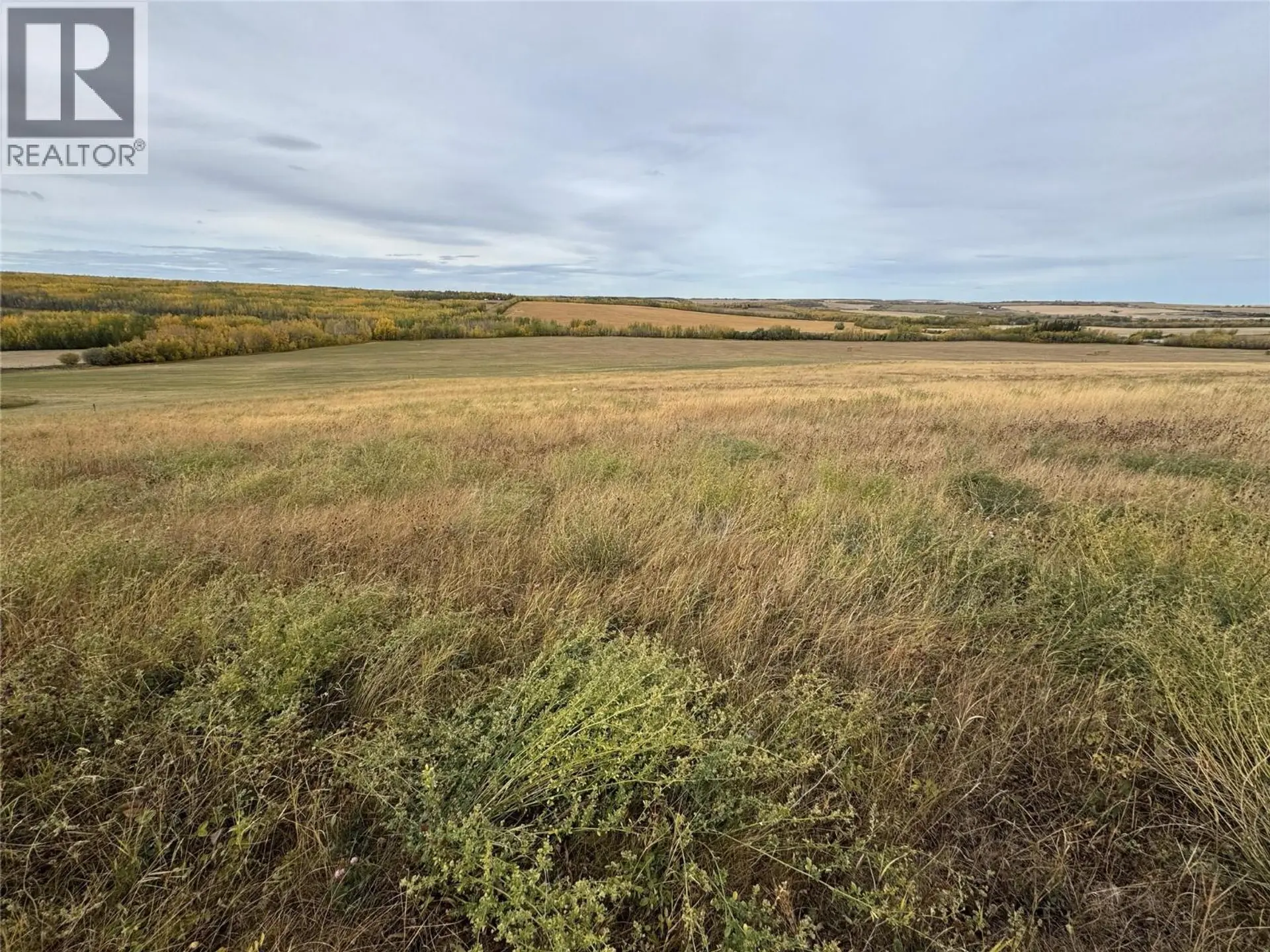 Property at 206 ROAD LOT# 3, Dawson Creek, BC