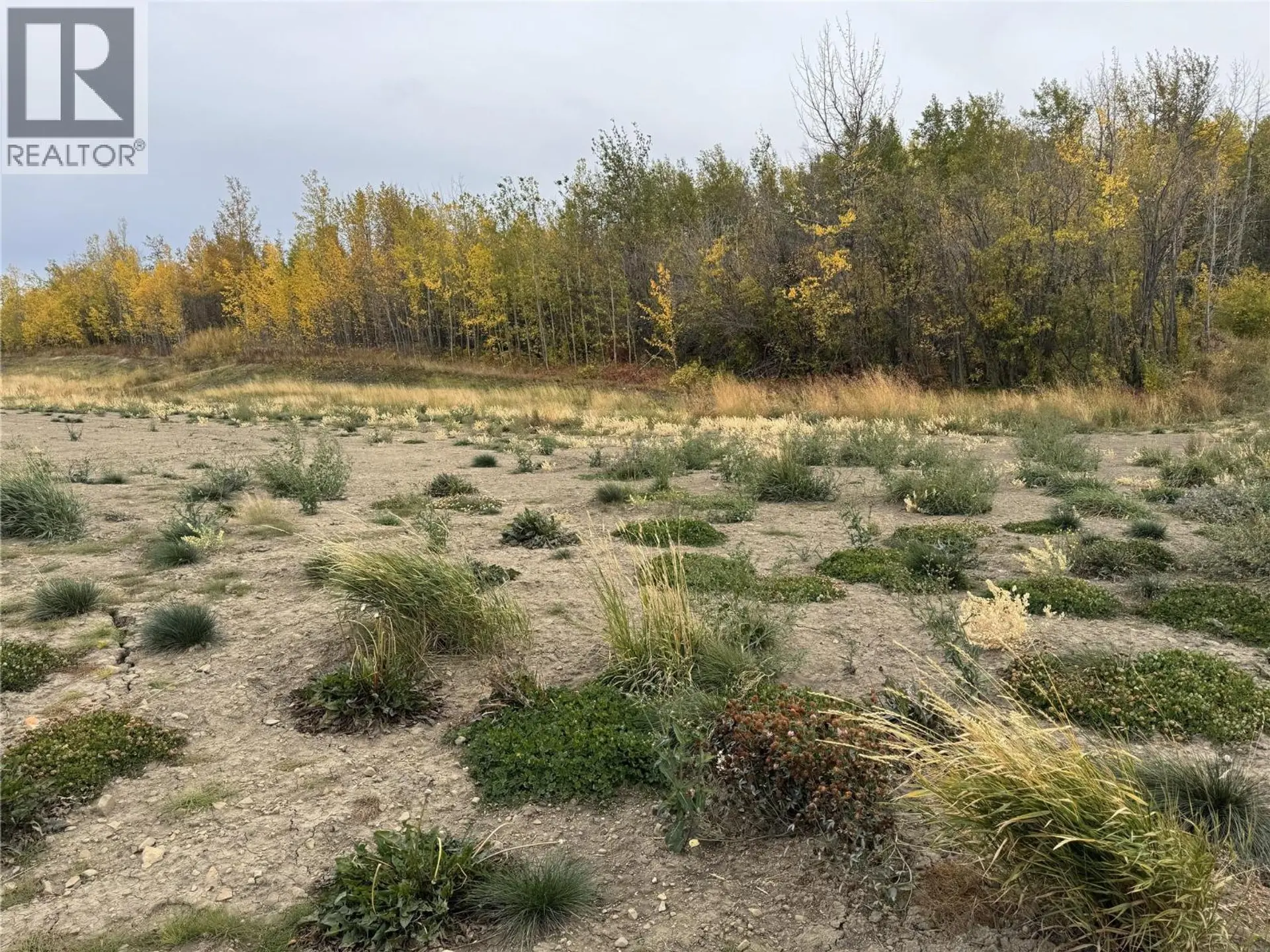 Property at 206 ROAD LOT# 3, Dawson Creek, BC