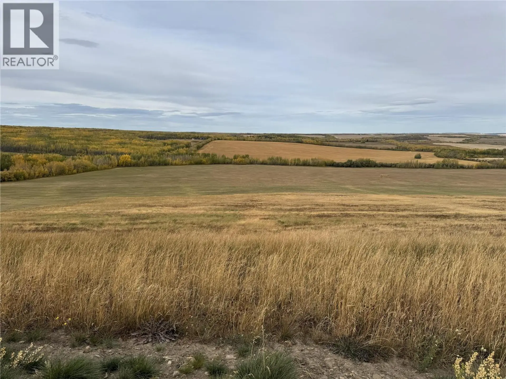 Property at 206 ROAD LOT# 4, Dawson Creek, BC