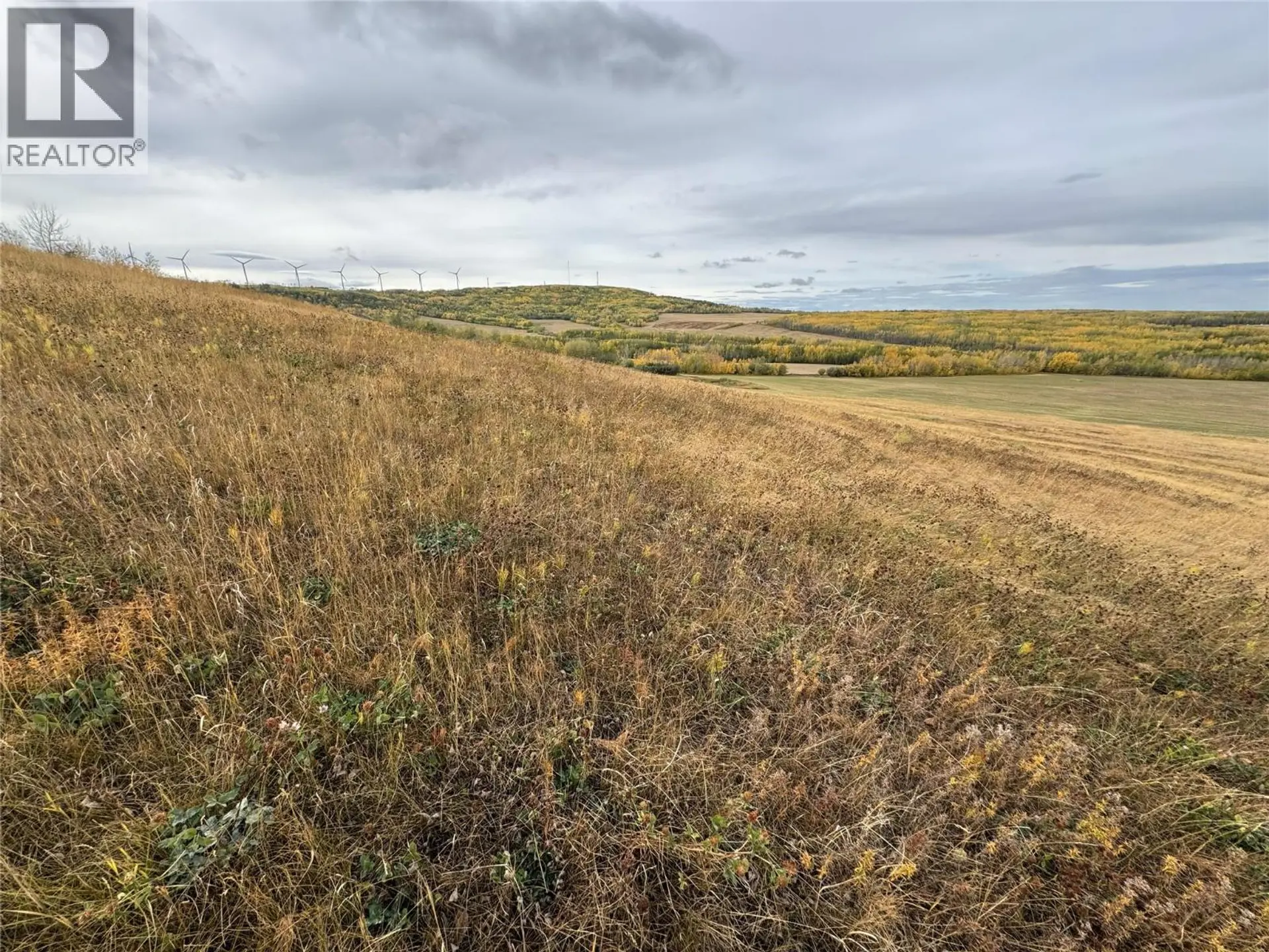Property at 206 ROAD LOT# 4, Dawson Creek, BC