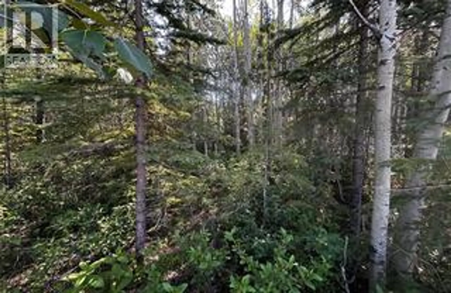 Property at 160 MURRAY DRIVE, Tumbler Ridge, BC