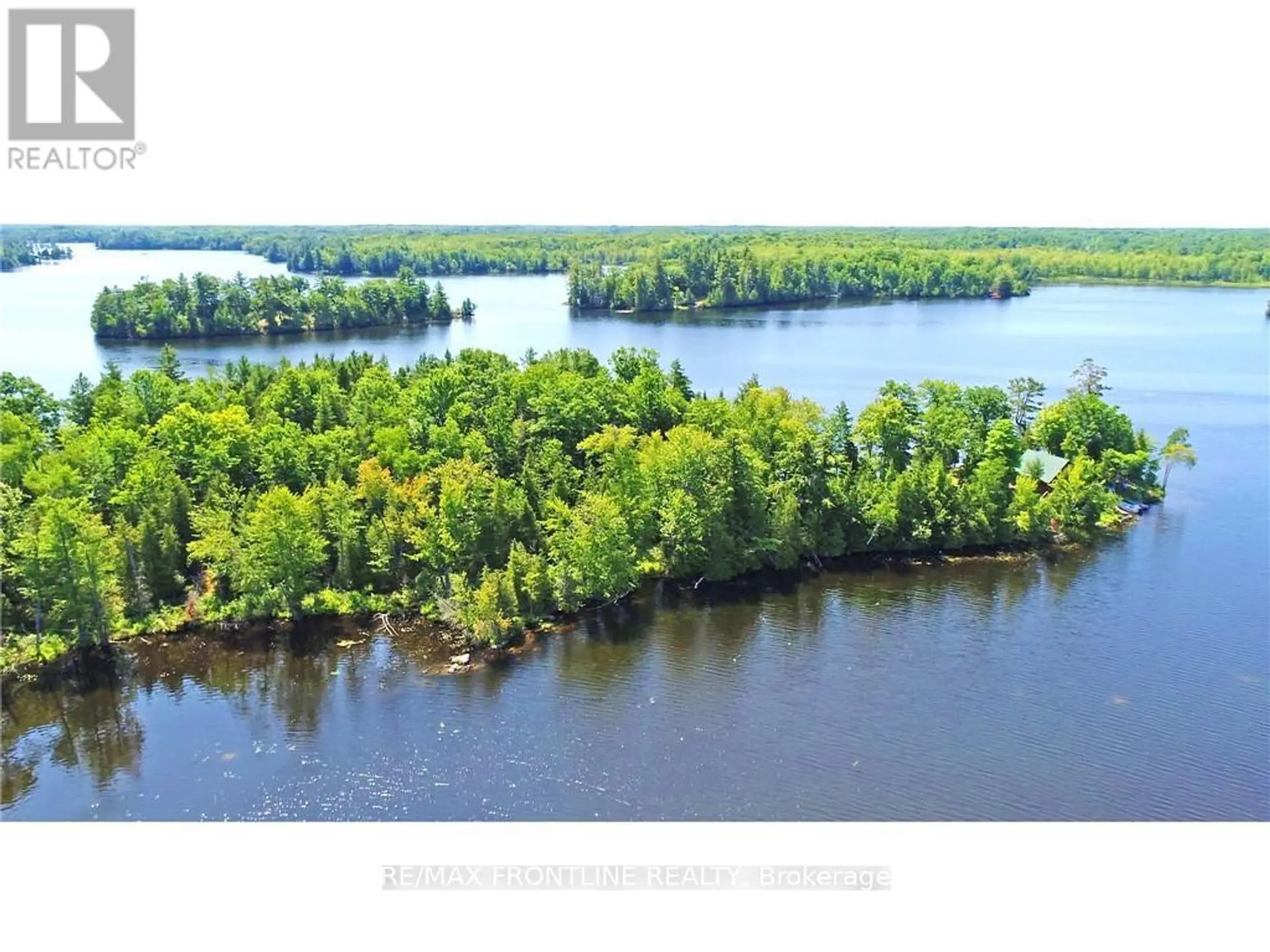 561 GRACEYS - Image 2