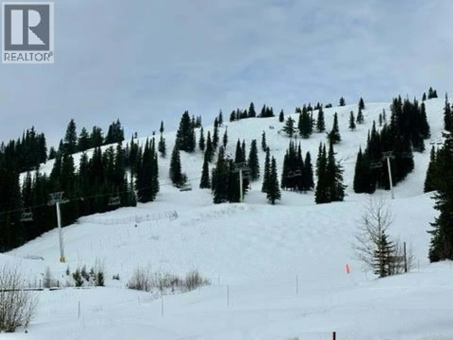 Property at 520 ARNICA LANE, Silver Star, BC