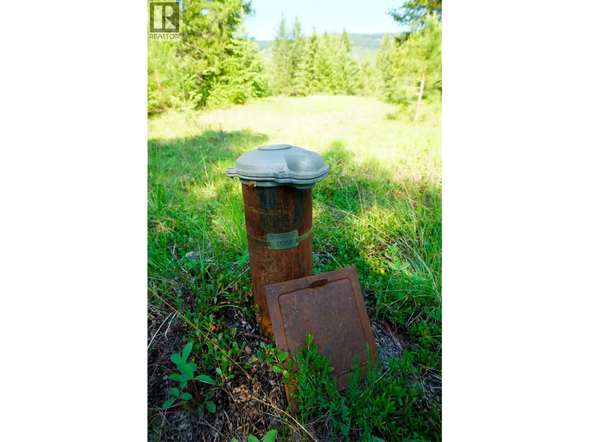 Property at LOT 1 MARY G ROAD, Beaverdell, BC