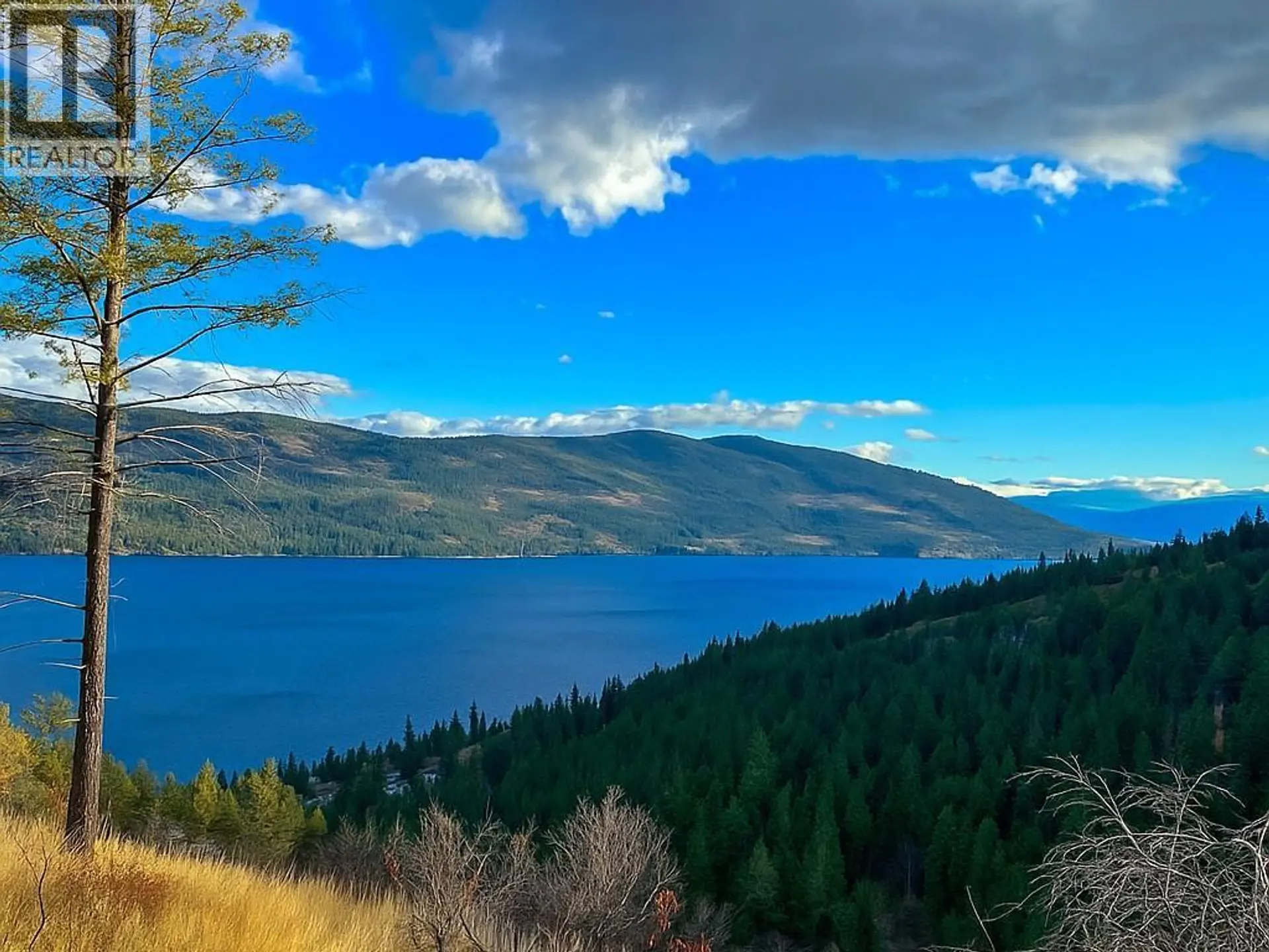 Property at 10751 WESTSHORE ROAD, Vernon, BC