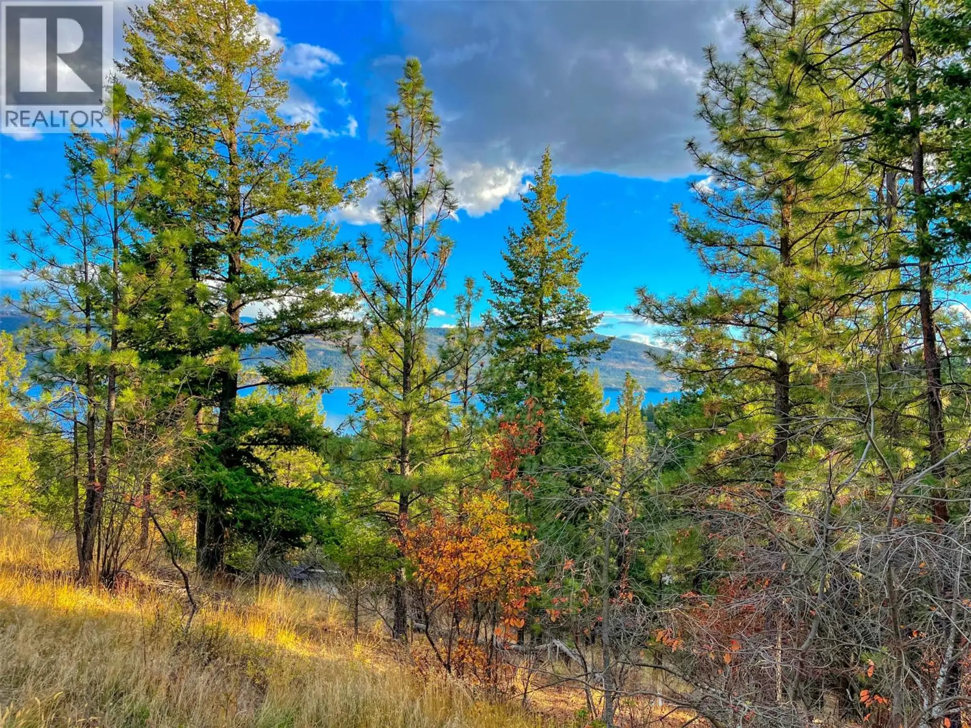 Property at 10751 WESTSHORE ROAD, Vernon, BC