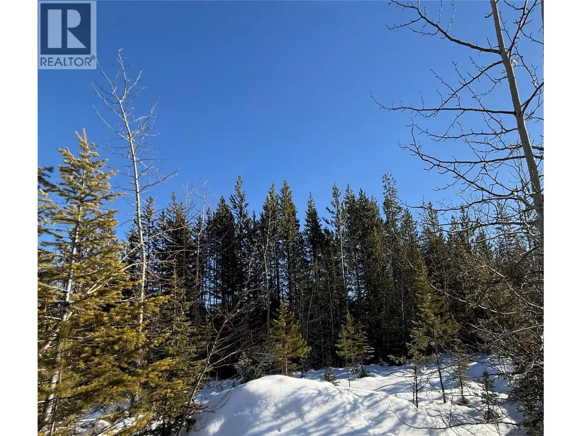 Property at 2 DALLAS PLACE, Elkford, BC