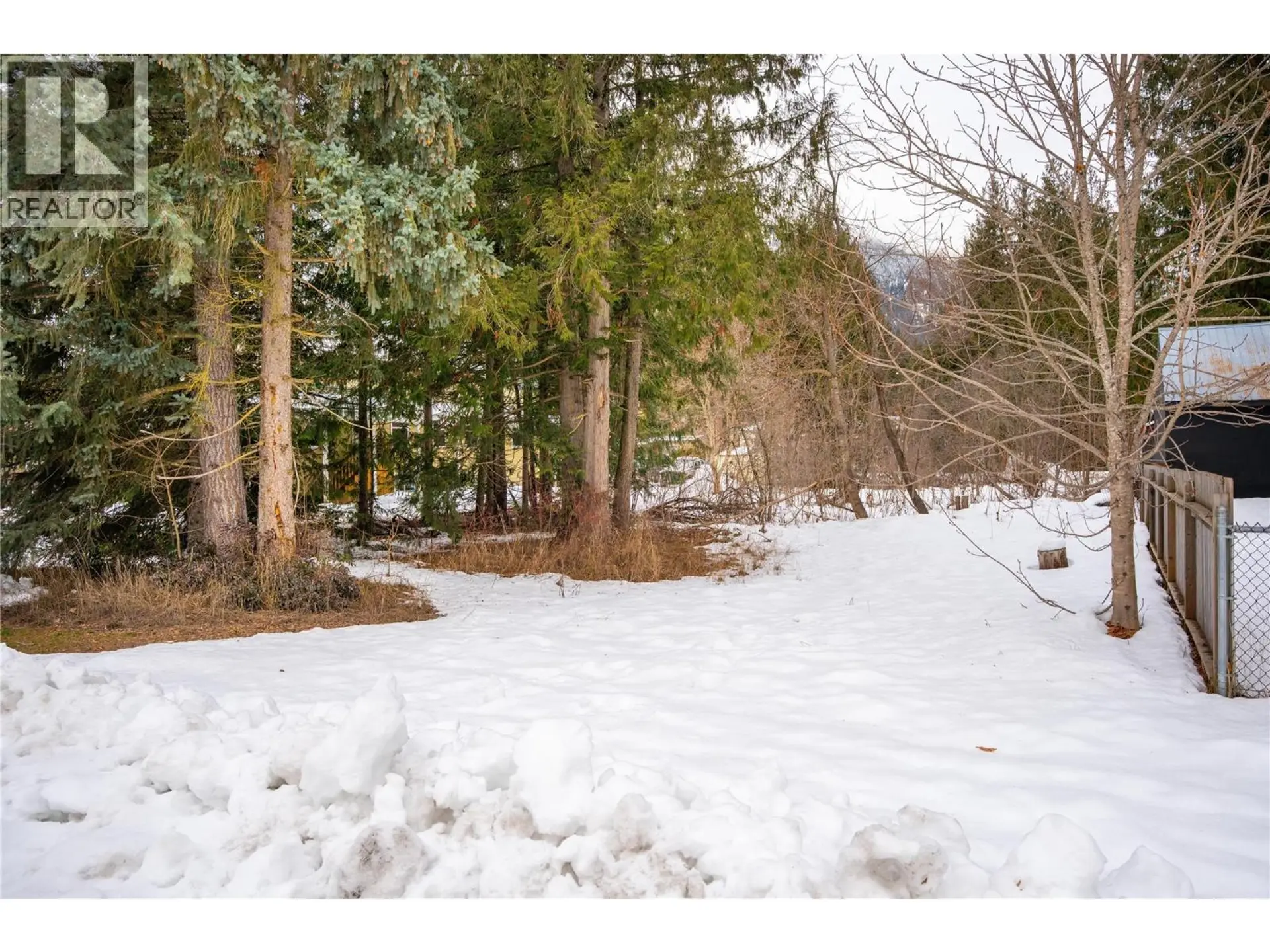 Property at 1206 CARLSON STREET, Revelstoke, BC