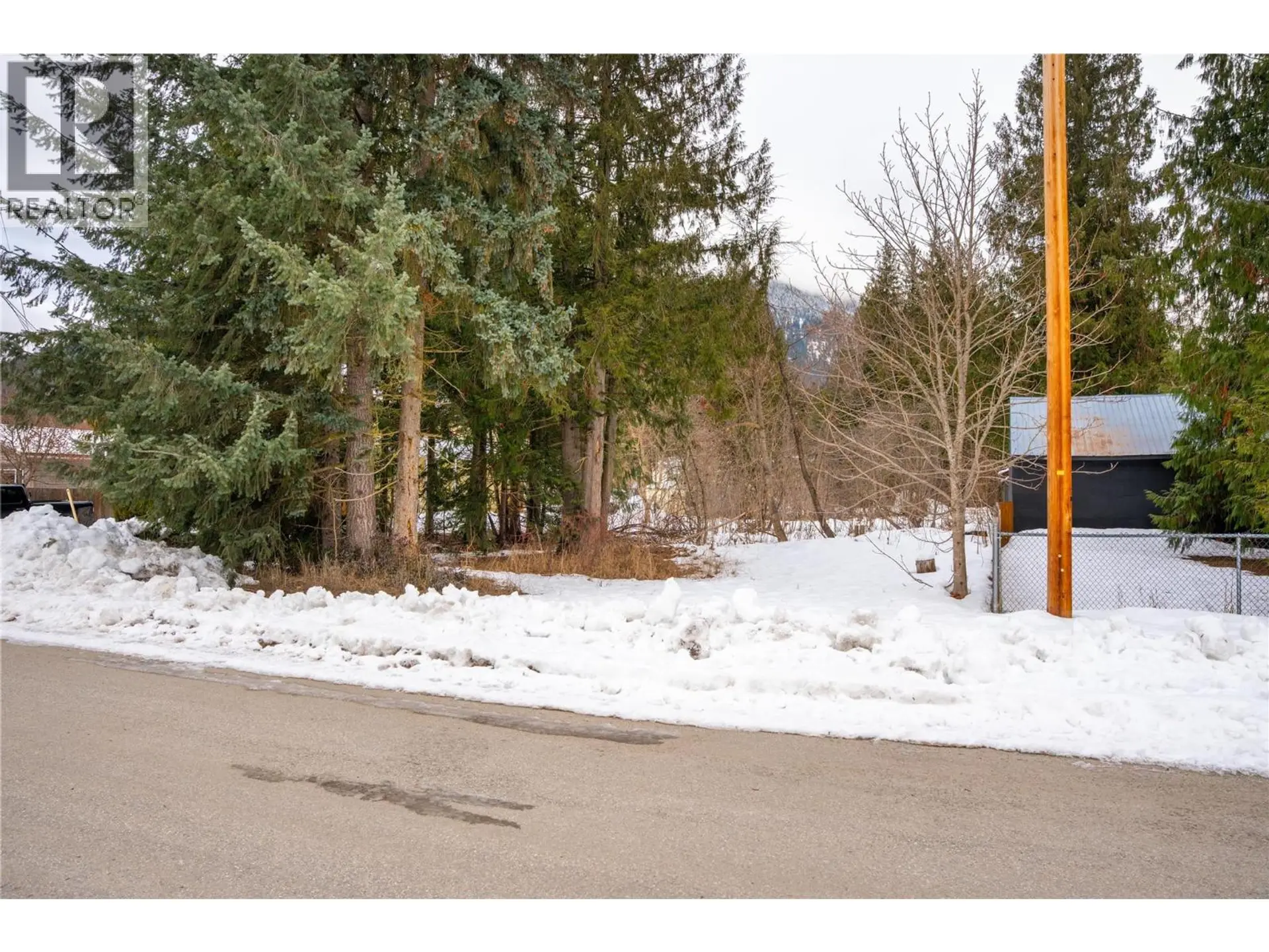 Property at 1206 CARLSON STREET, Revelstoke, BC
