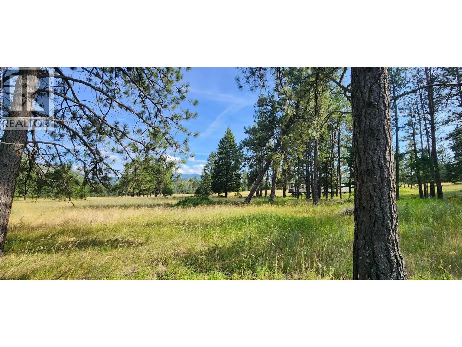 Property at LETCHER STREET LOT# PARCEL A, Elko, BC