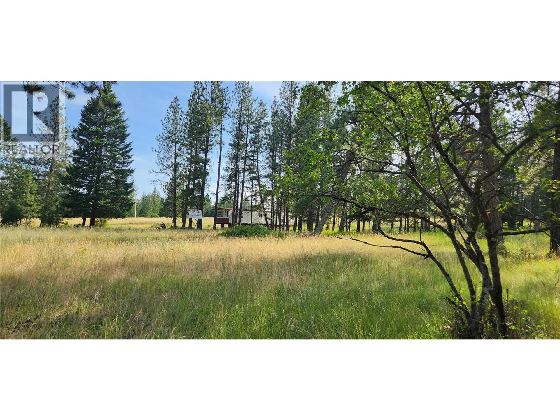 Property at LETCHER STREET LOT# PARCEL A, Elko, BC