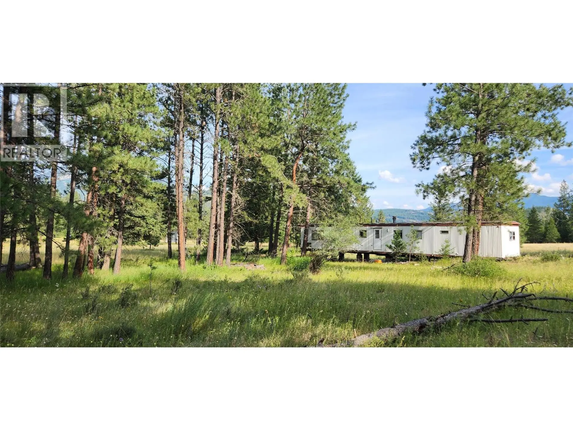 Property at LETCHER STREET LOT# PARCEL A, Elko, BC