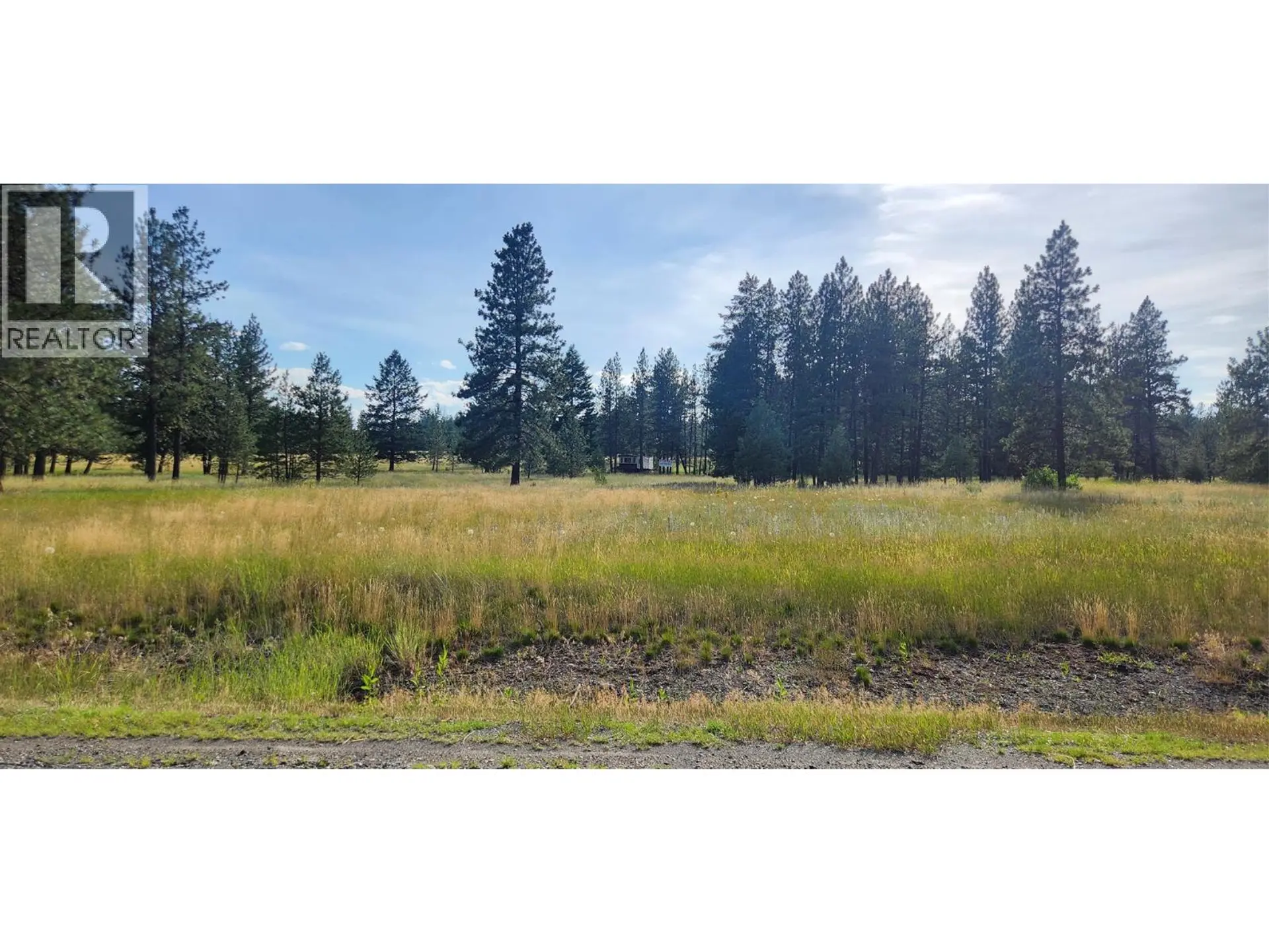 Property at LETCHER STREET LOT# PARCEL A, Elko, BC