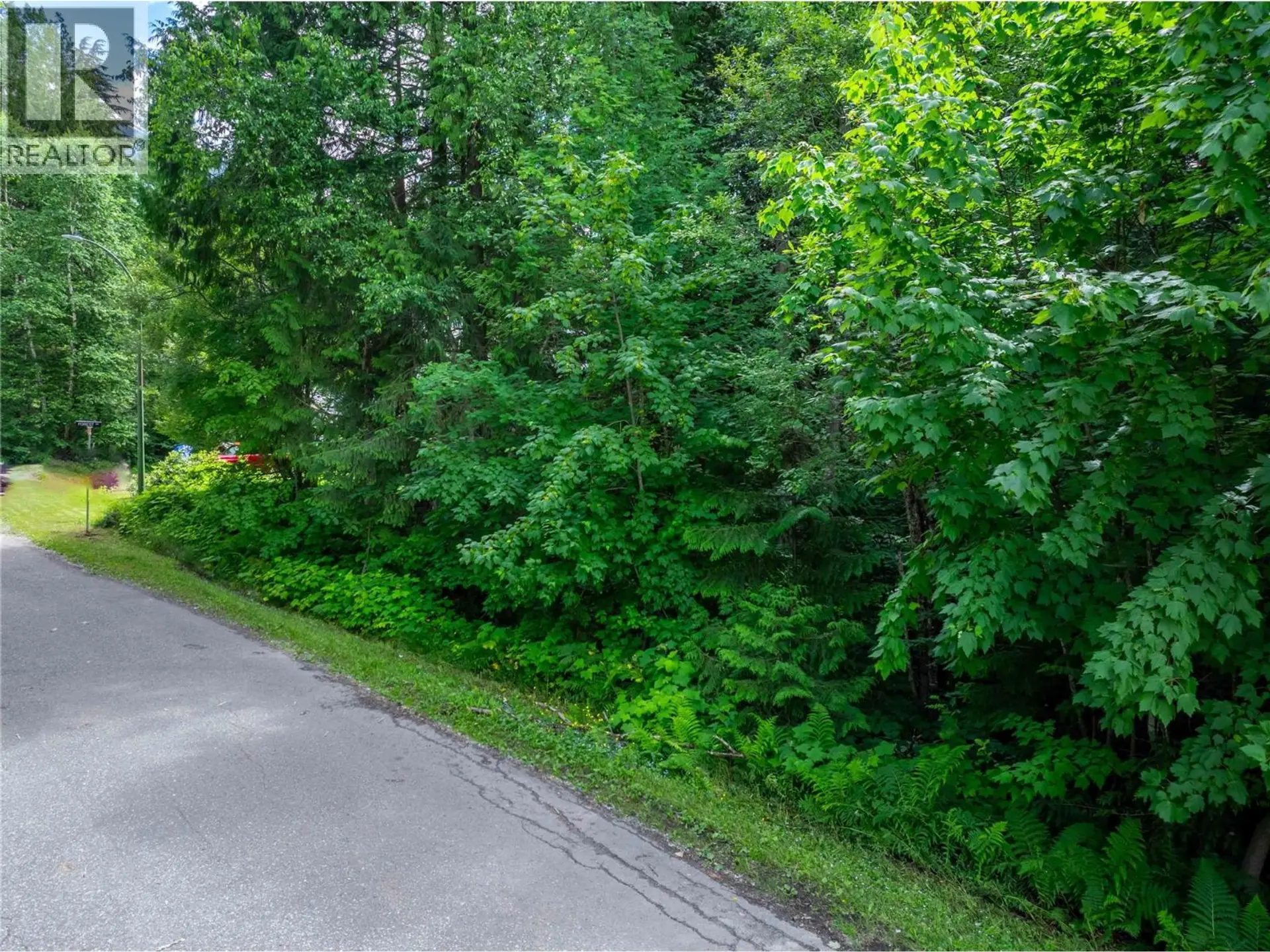 Property at 1571 PRATICO ROAD, Revelstoke, BC