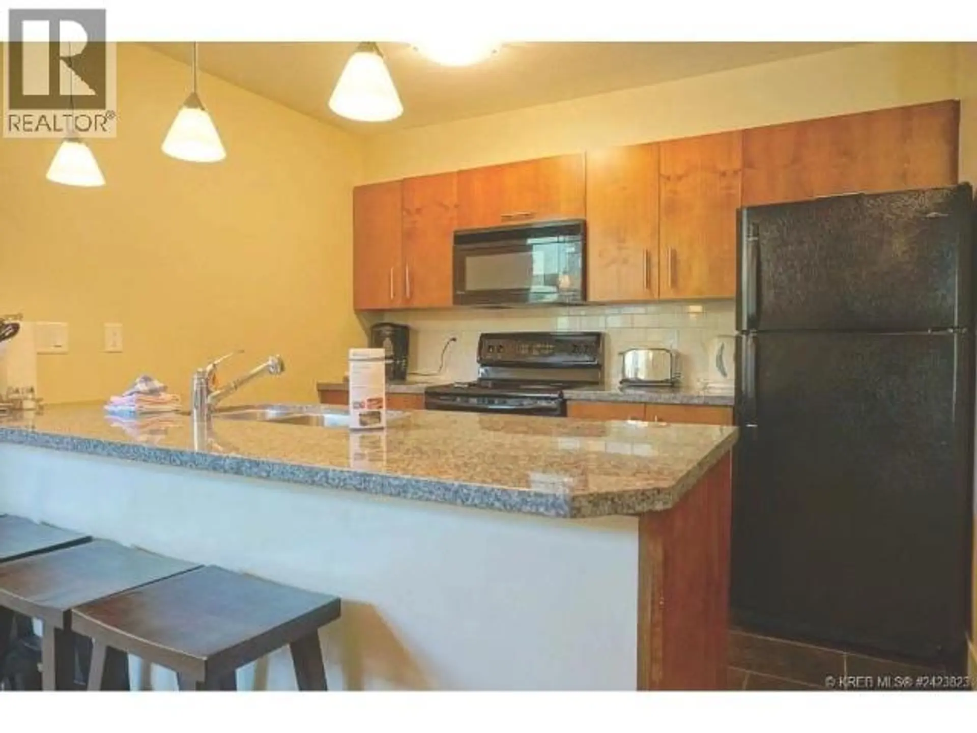 Property at #226C 2049 SUMMIT DRIVE, Panorama, BC