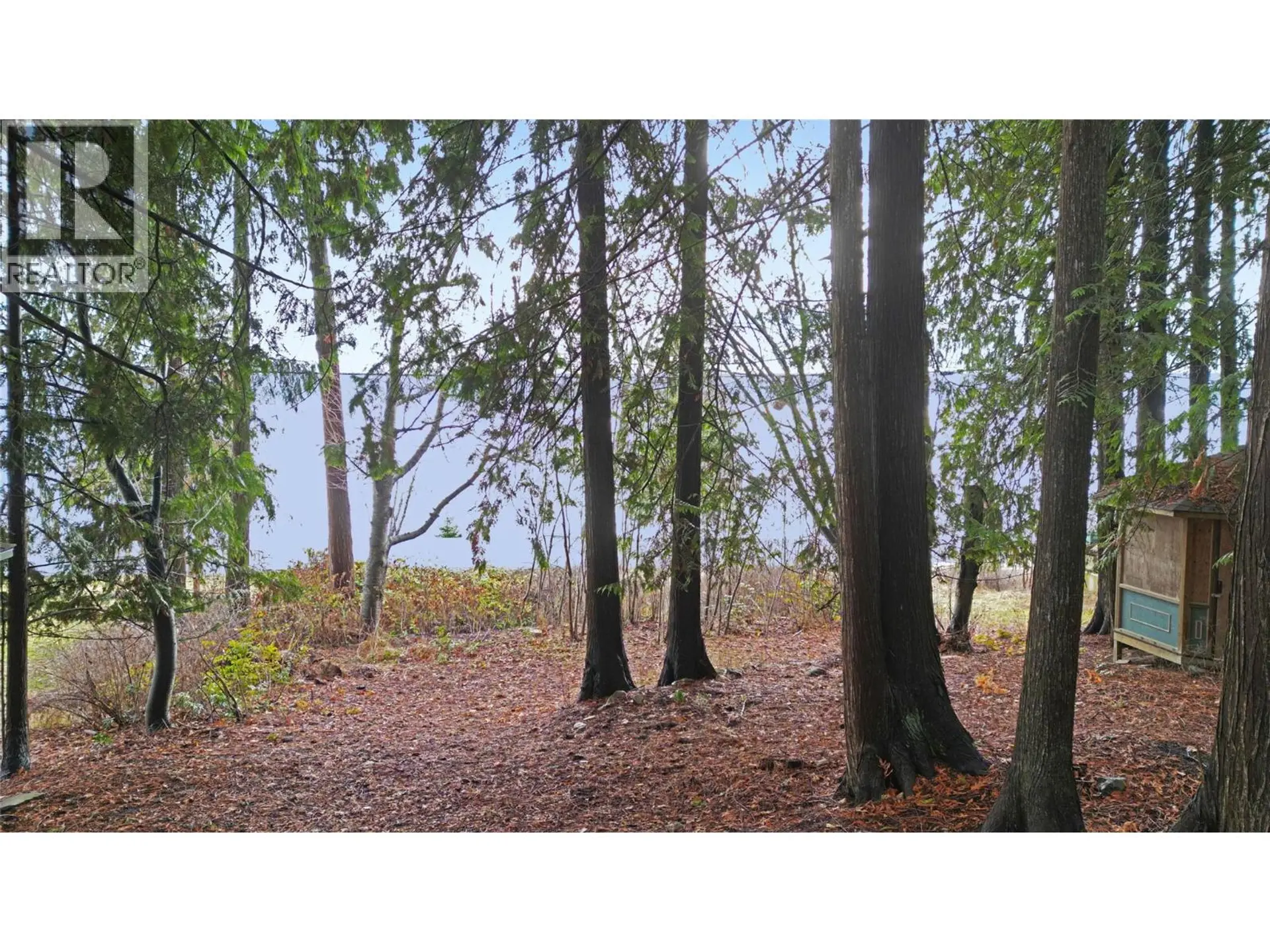 Property at LOT 1 SQUILAX ANGLEMONT ROAD, Anglemont, BC