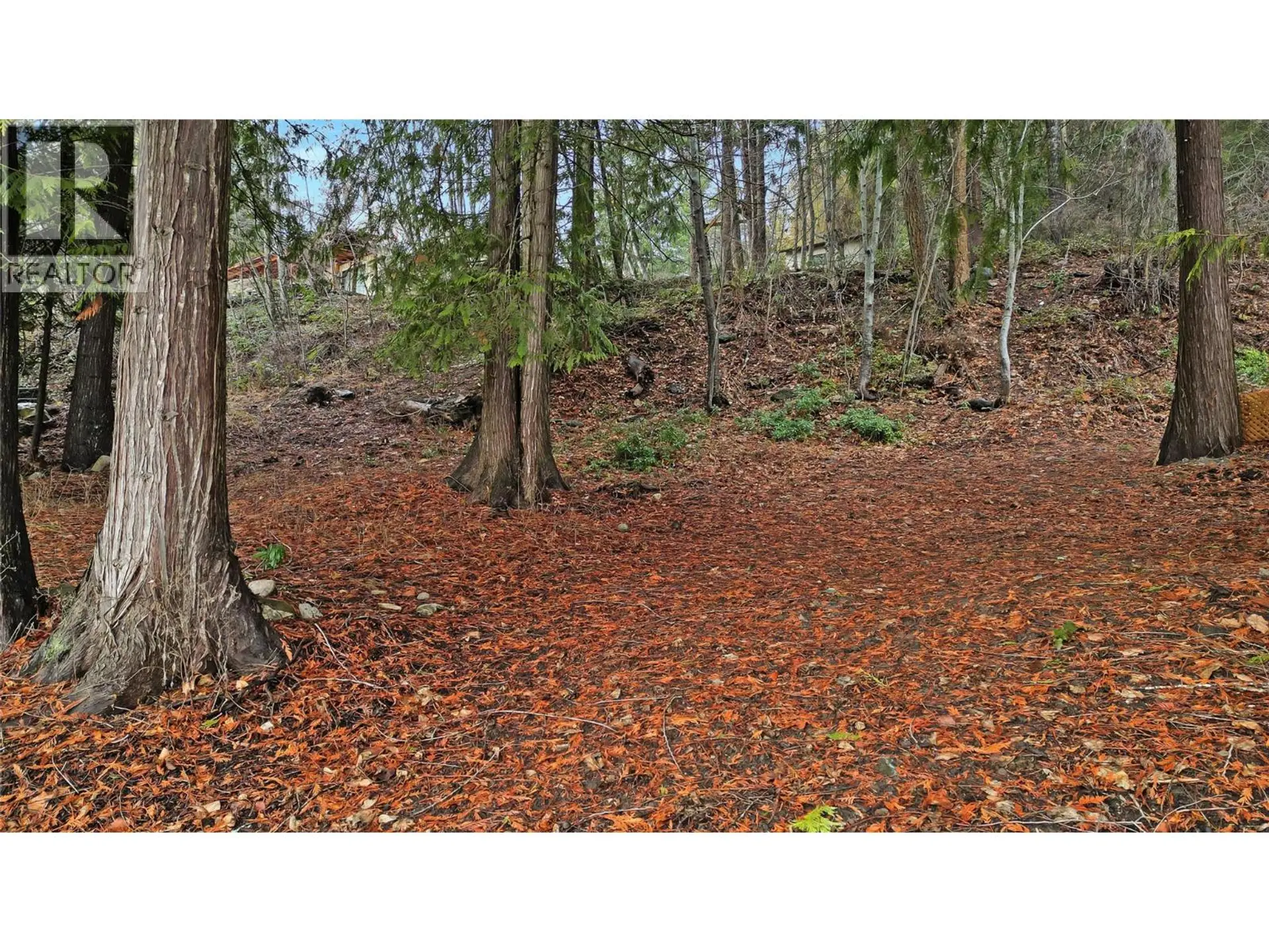 Property at LOT 1 SQUILAX ANGLEMONT ROAD, Anglemont, BC