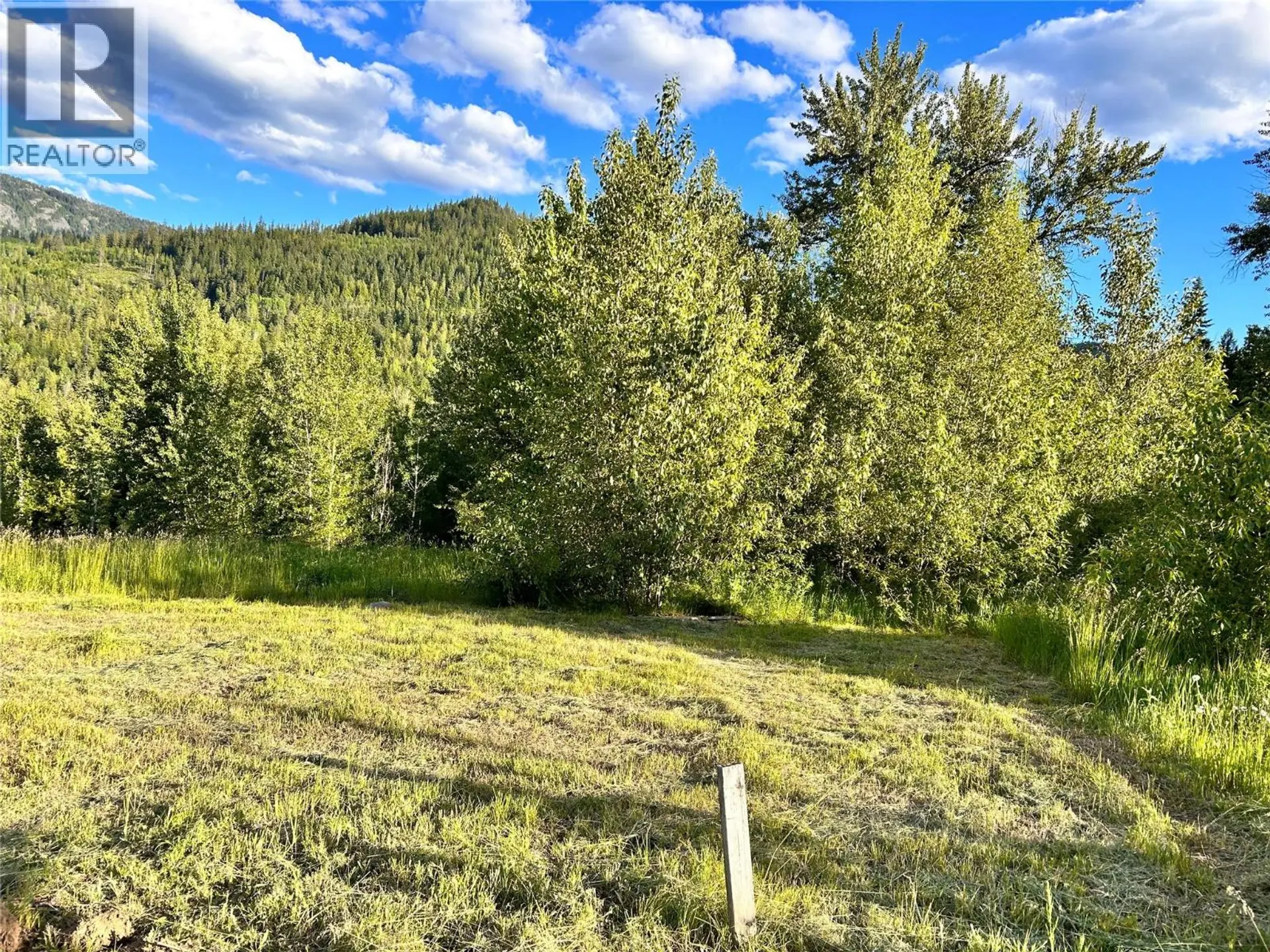 Property at 917 REDSTONE DRIVE, Rossland, BC