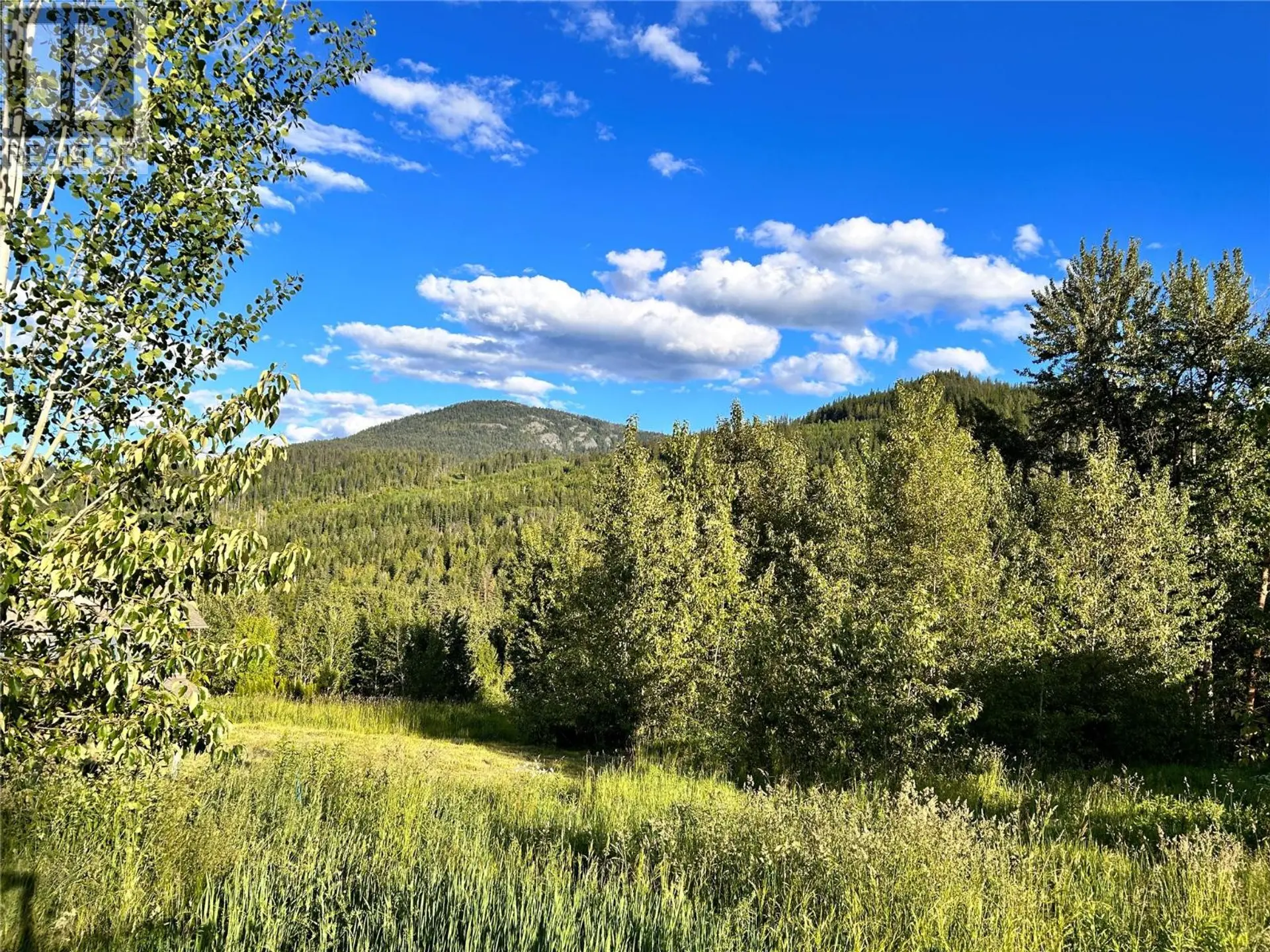 Property at 917 REDSTONE DRIVE, Rossland, BC