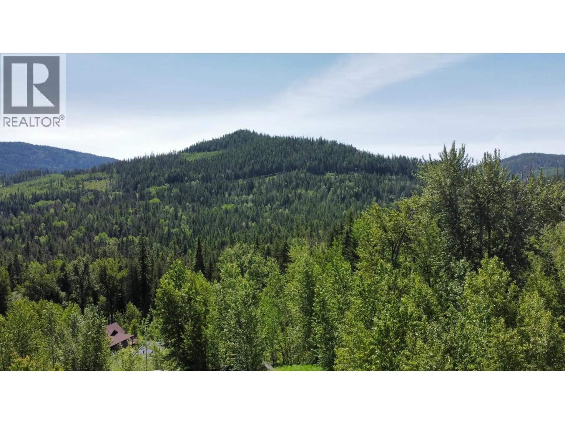 Property at 919 REDSTONE DRIVE, Rossland, BC