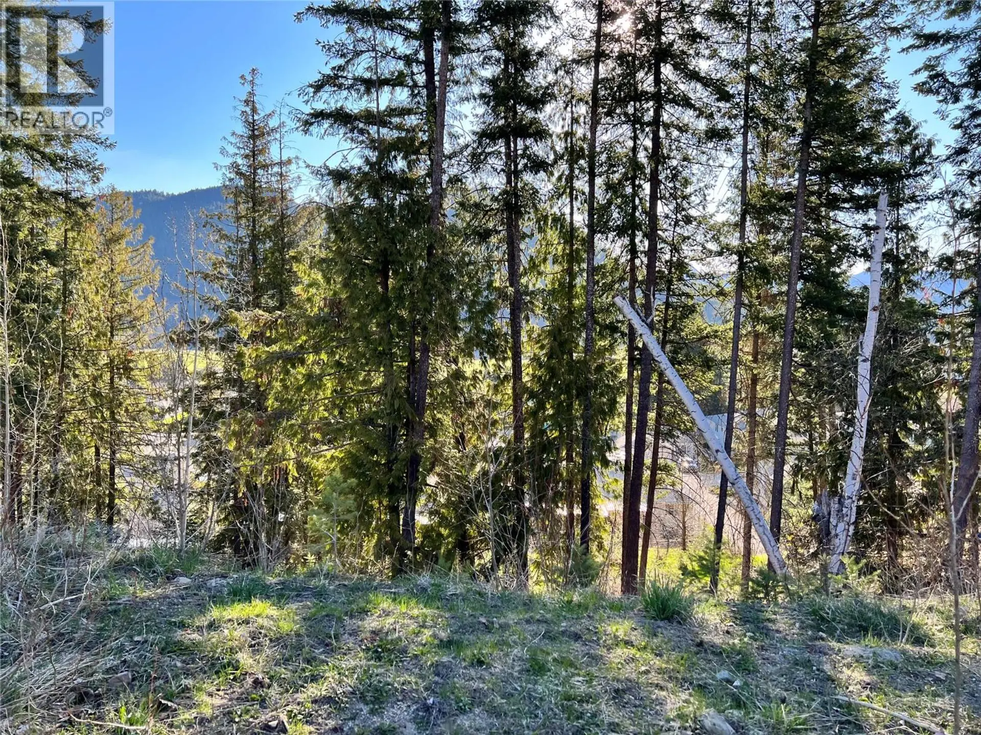 Property at 2541 CEDAR RIDGE COURT, Lumby, BC