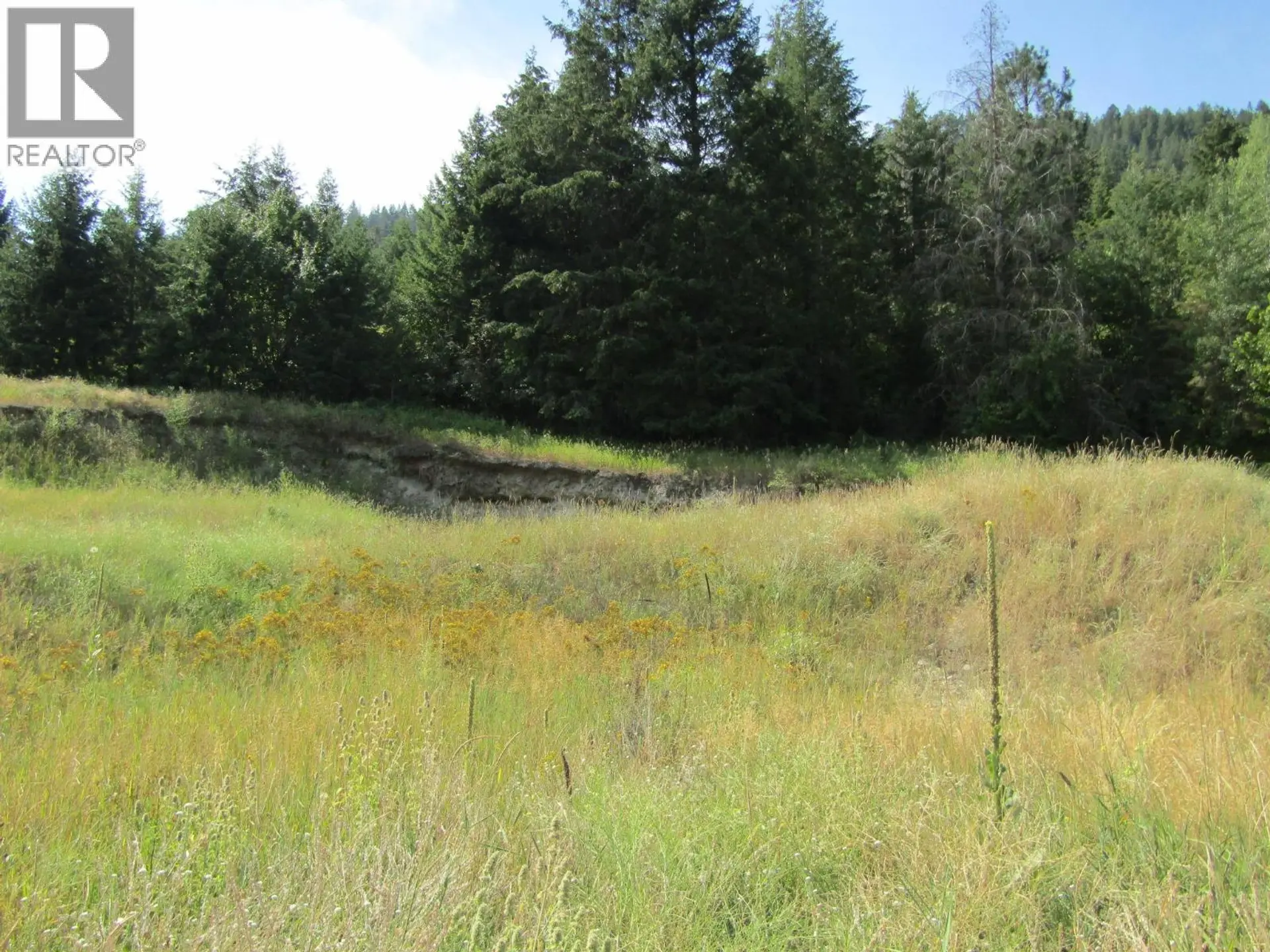 Property at 8841 RIVERSIDE DRIVE, Grand Forks, BC