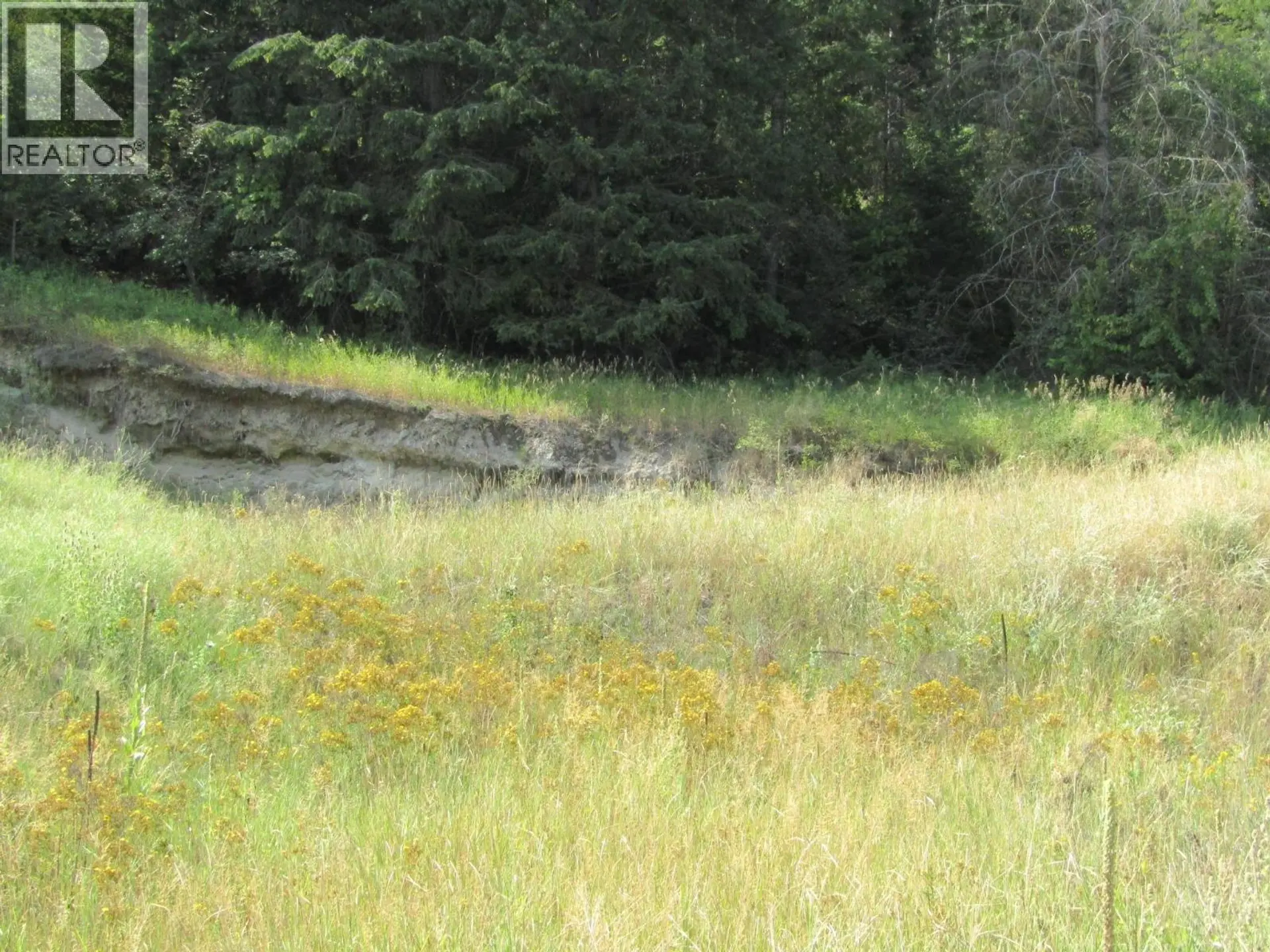 Property at 8841 RIVERSIDE DRIVE, Grand Forks, BC