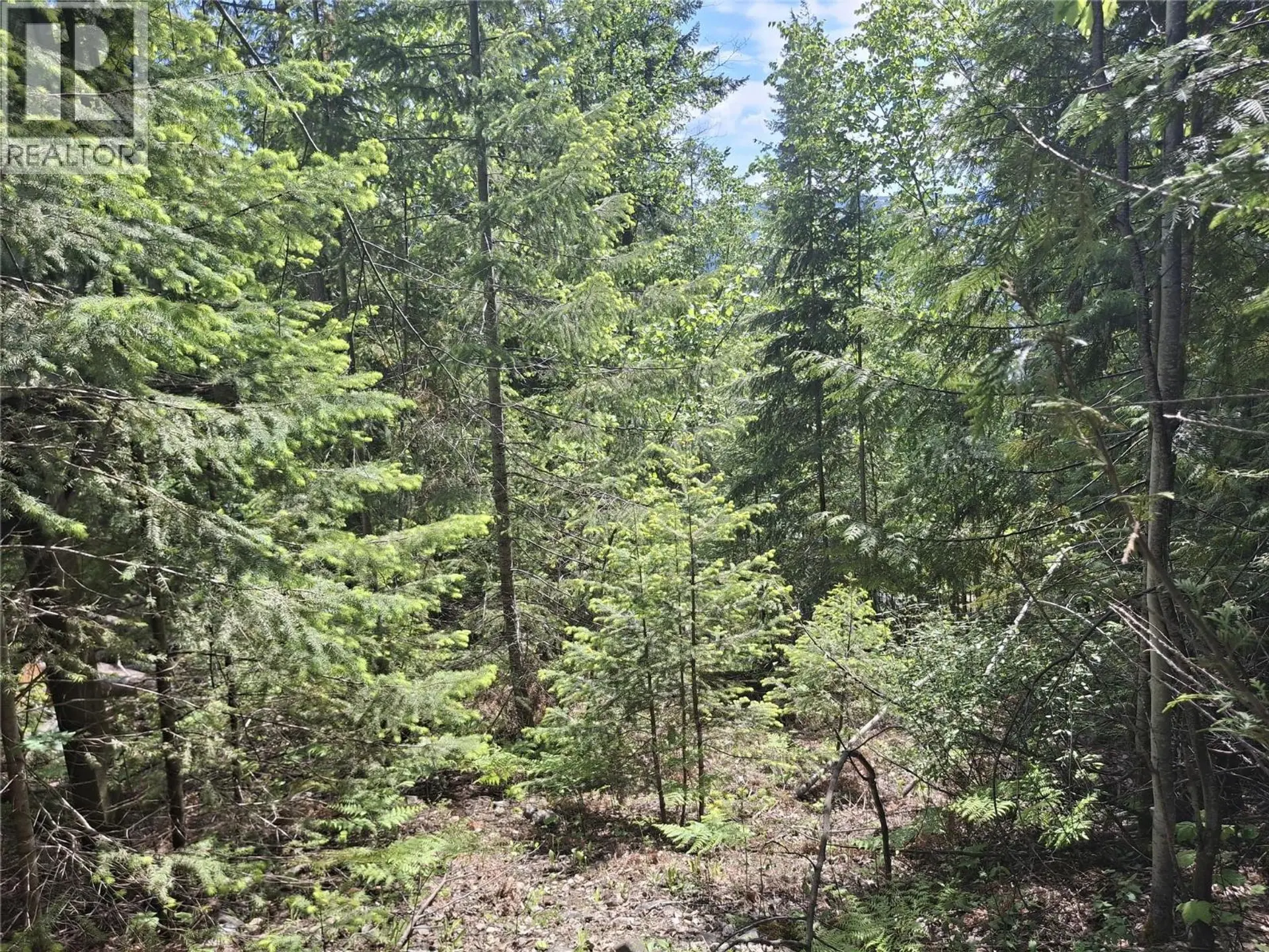 Property at LOT 69 CASTLE HEIGHTS, Anglemont, BC