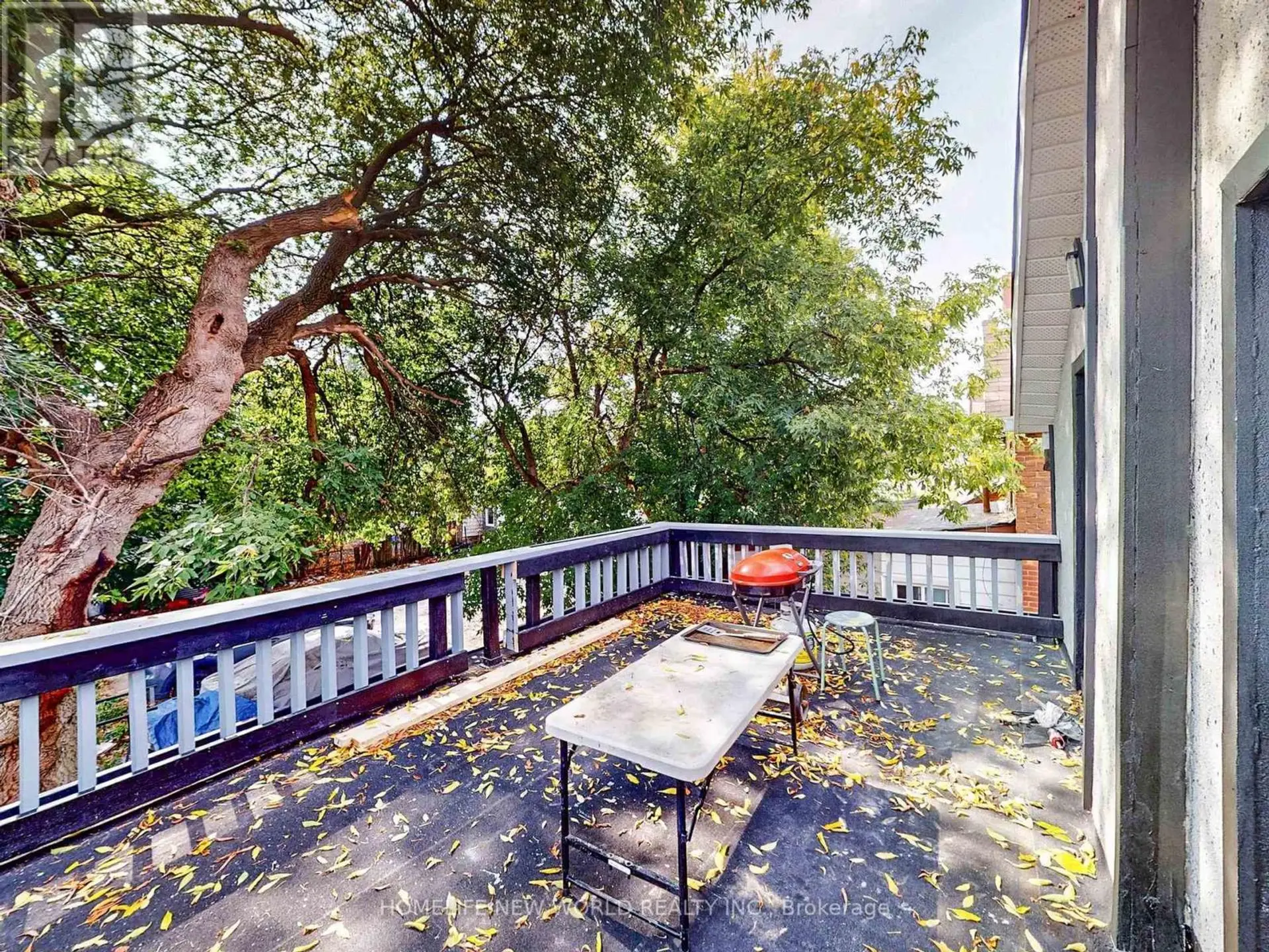 11 MAPLE STREET - Image 19
